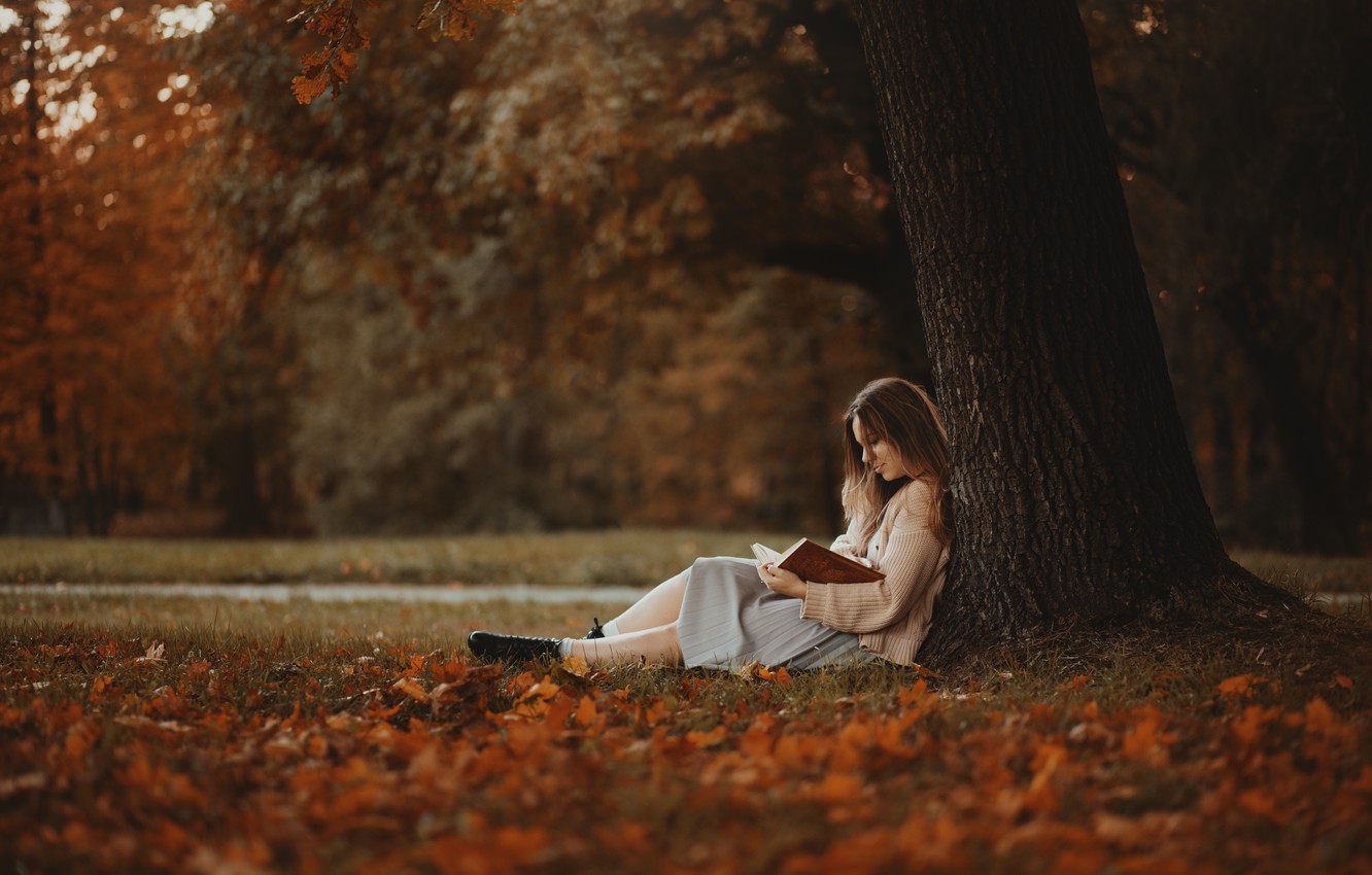 Wallpaper autumn, girl, Park, tree, book, reading image for desktop, section настроения
