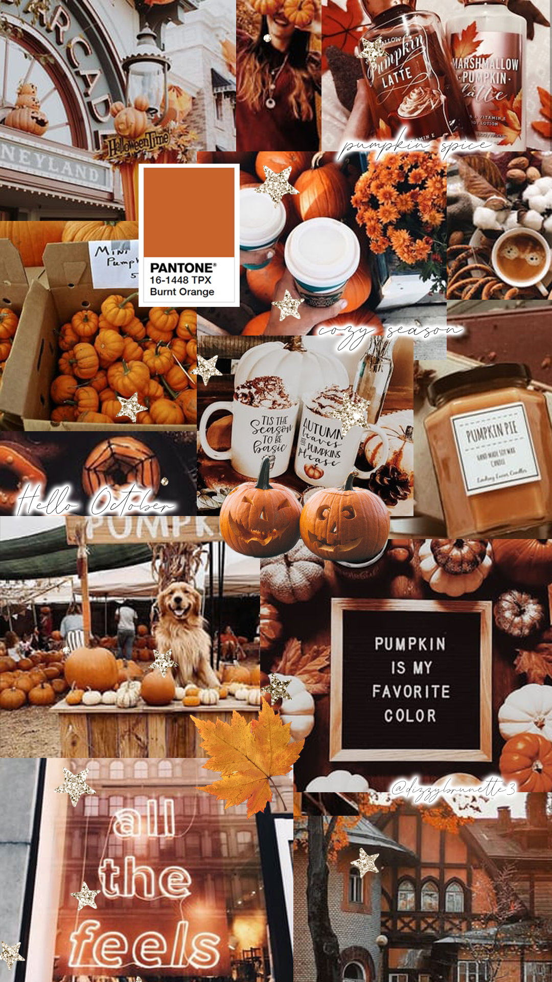 Buy Cozy Autumn Wall Collage Kit 75 PCS Fall Aesthetic Soft Online in India   Etsy