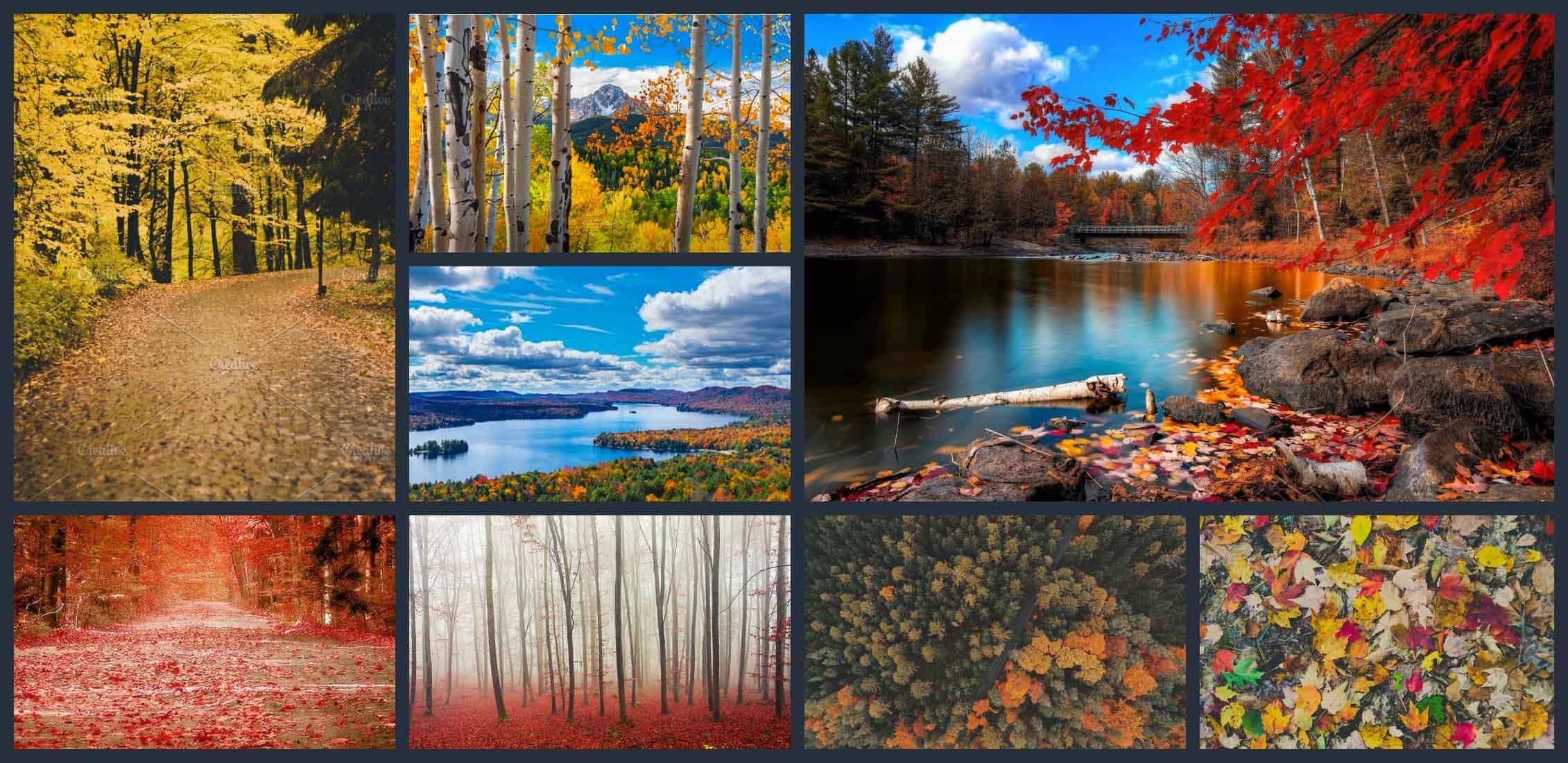 Best Autumn Collage Wallpapers Wallpaper Cave