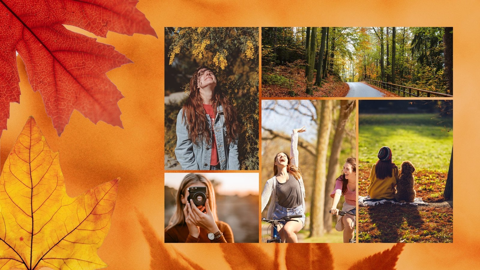 Best Autumn Collage Wallpapers - Wallpaper Cave