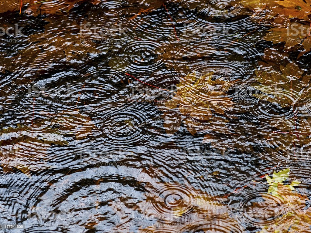 Rain Autumn Background Image Now, Autumn, Background