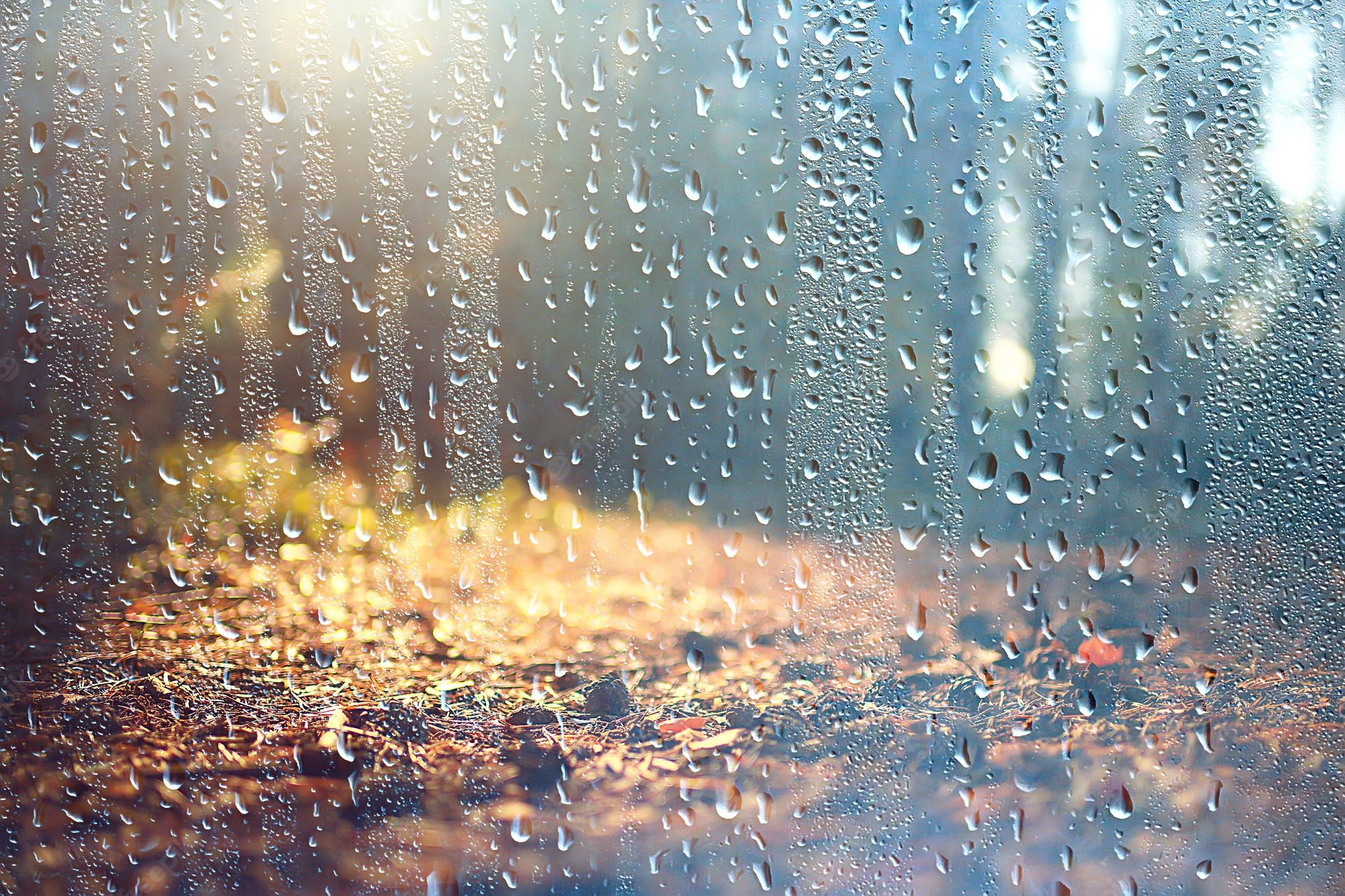 Premium Photo. Landscape autumn rain drops splashes in the forest background, october weather landscape beautiful park