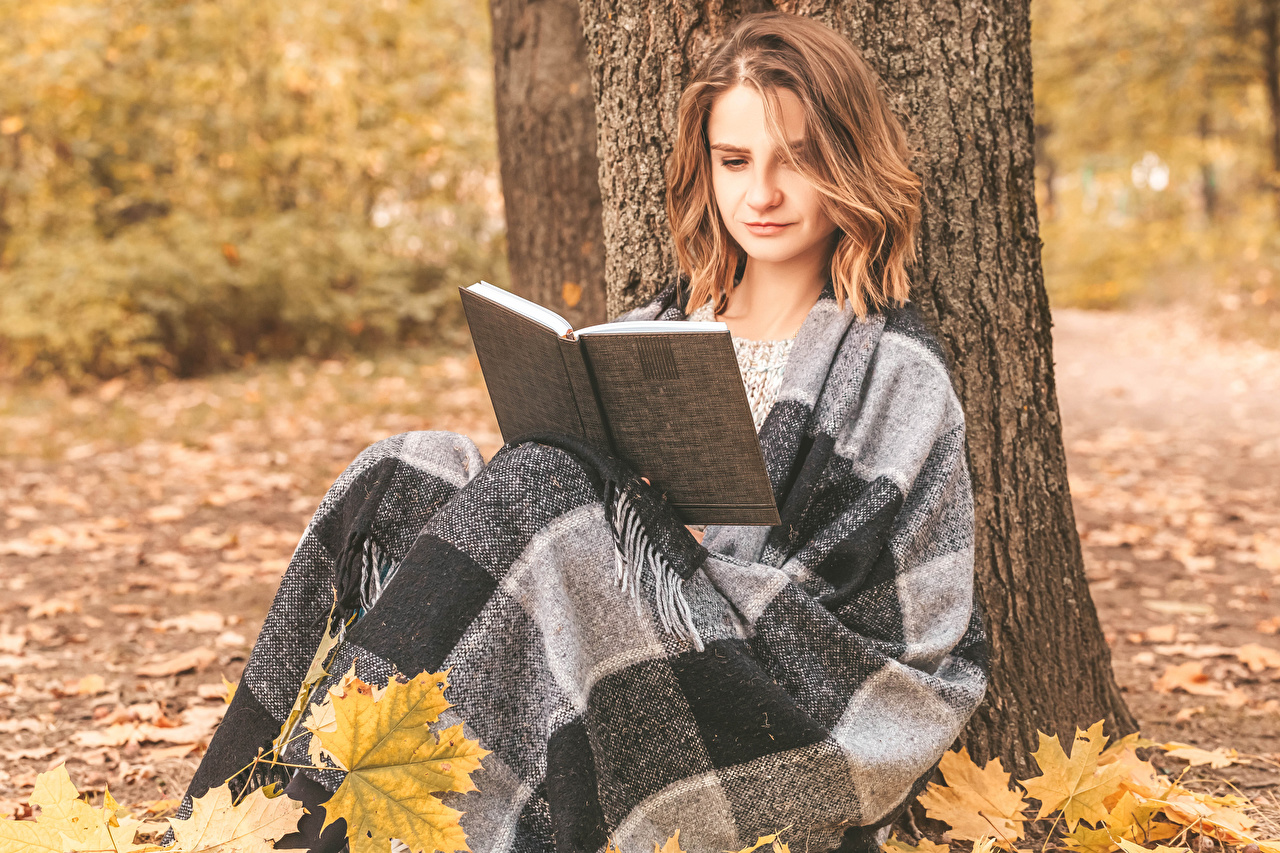 Picture Brown haired Autumn female books Sitting