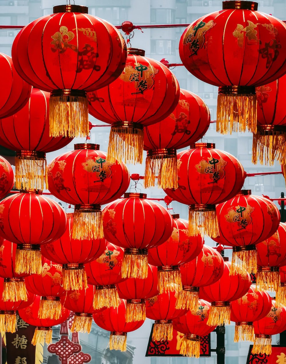 Chinese Lantern Picture. Download Free Image