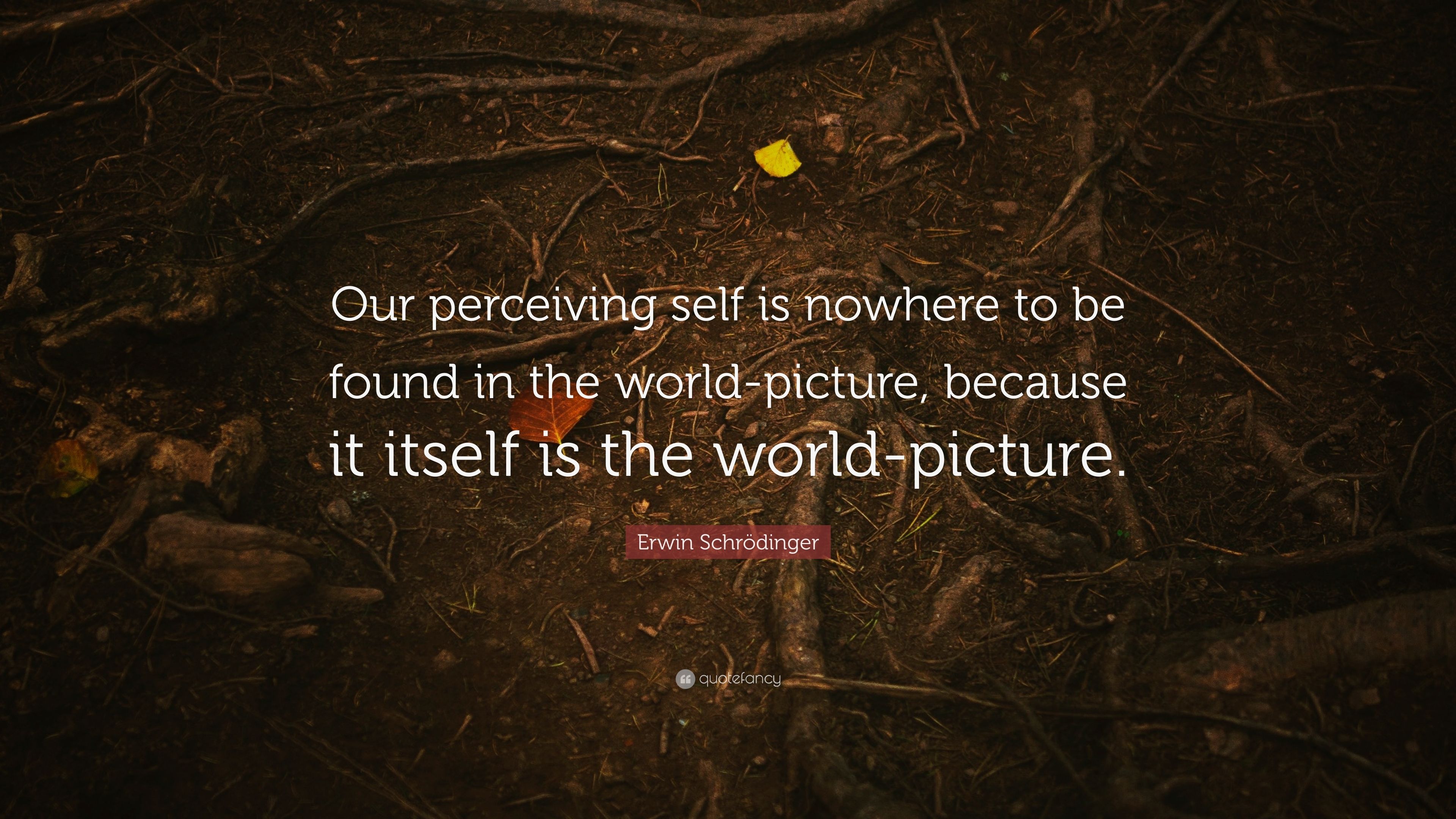 Erwin Schrödinger Quote: “Our Perceiving Self Is Nowhere To Be Found In The World Picture, Because