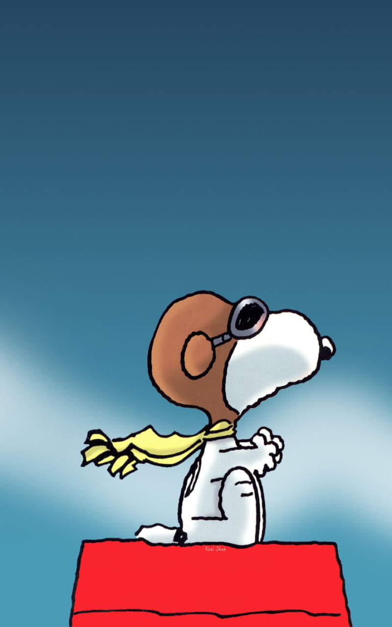 Wallpaper Snoopy Dog Peanuts HD, Cartoon Comic • Wallpaper For You
