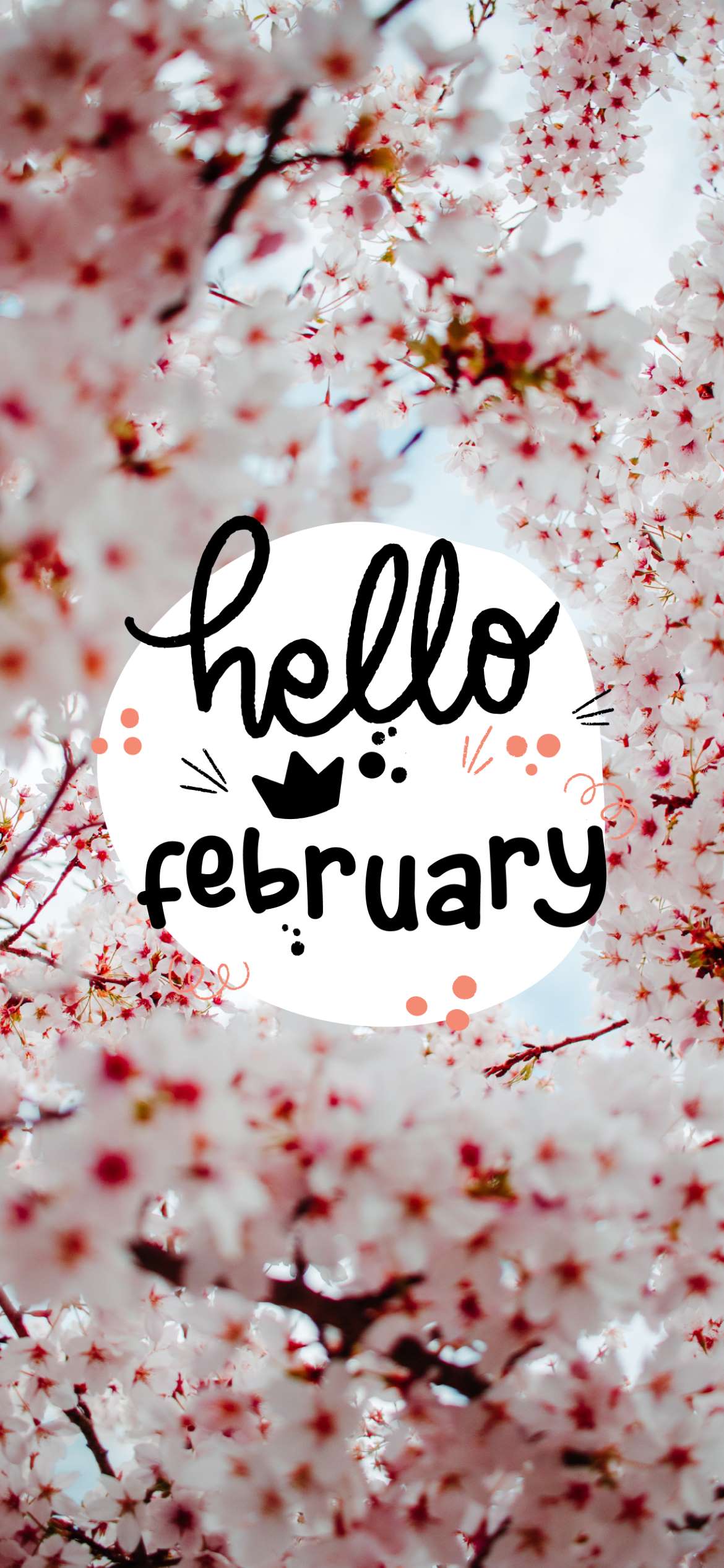 hello february images