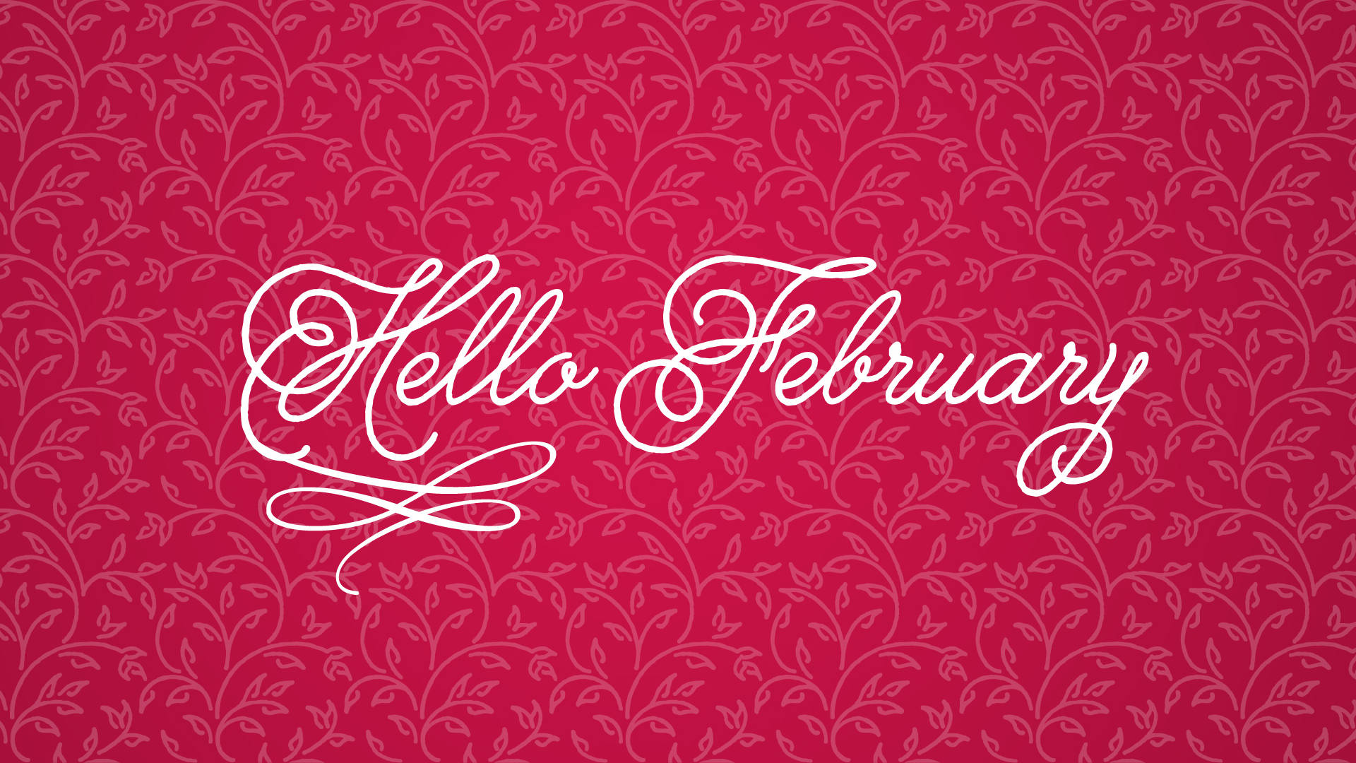 Download Hello February On Pink Wall Wallpaper