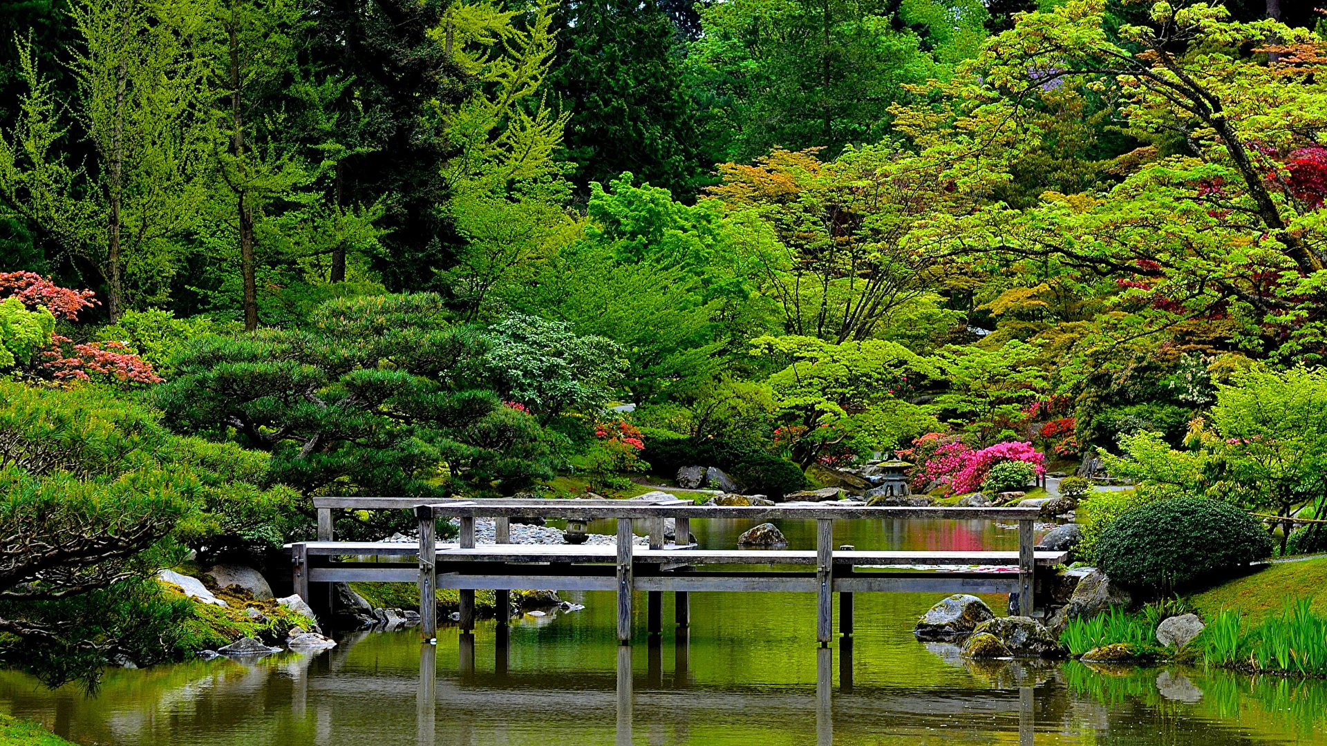 Wallpaper Seattle USA Japanese Garden bridge Nature Pond 1920x1080