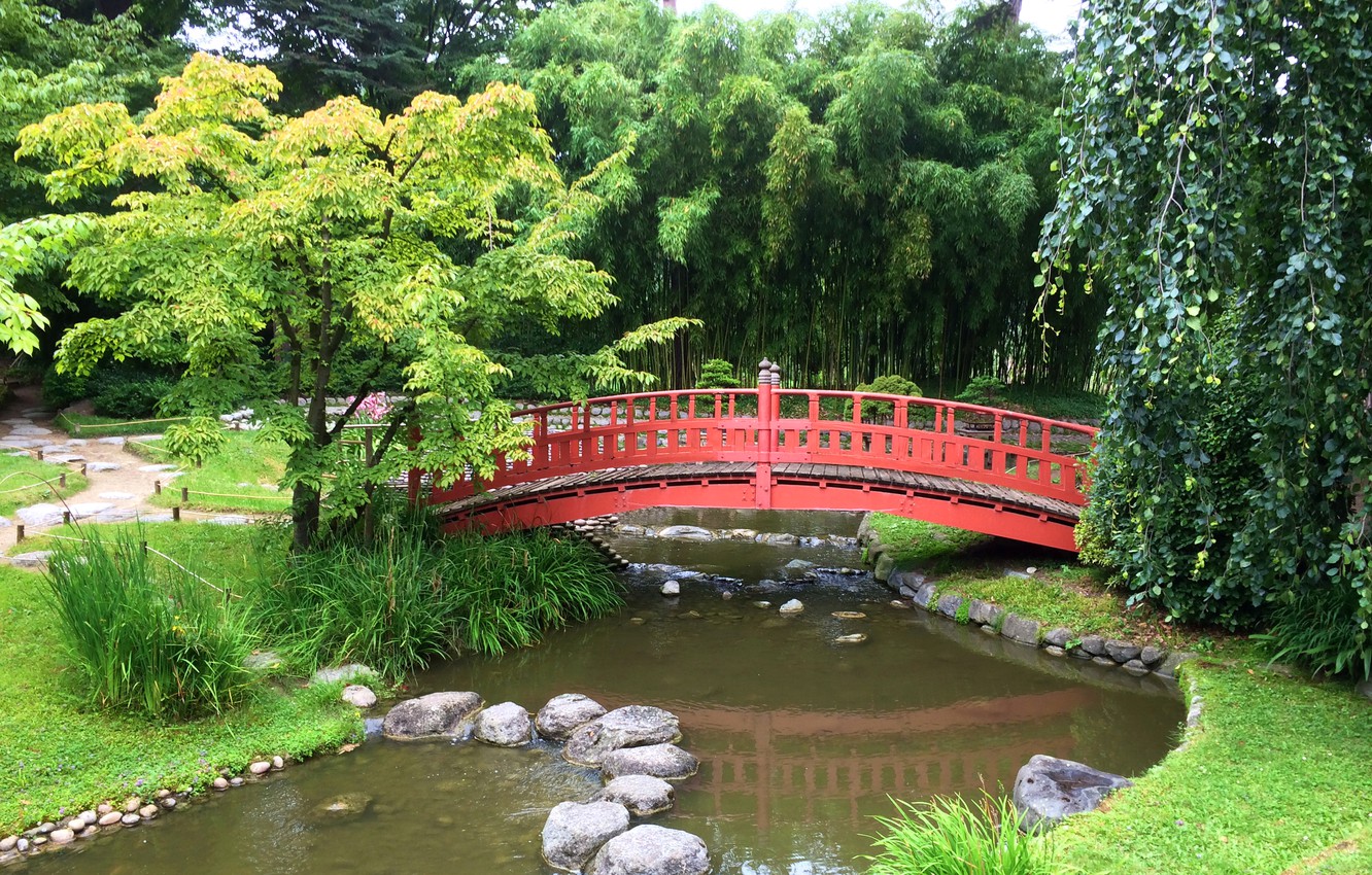 Wallpaper Trees, Bridge, Pond, Stones, France, Paris, Garden, Japanese Garden, Albert Kahn Image For Desktop, Section природа