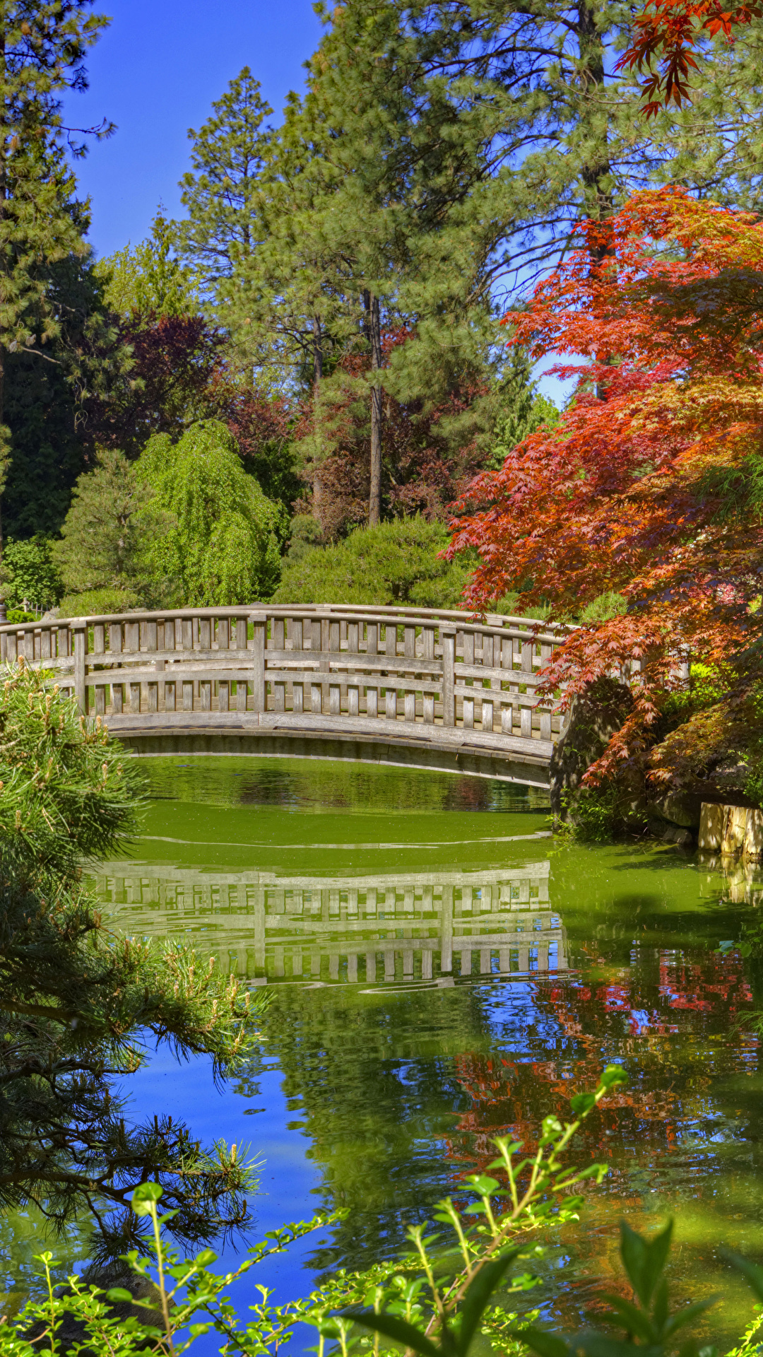 Picture Washington USA Spokane Japanese Garden bridge 1080x1920