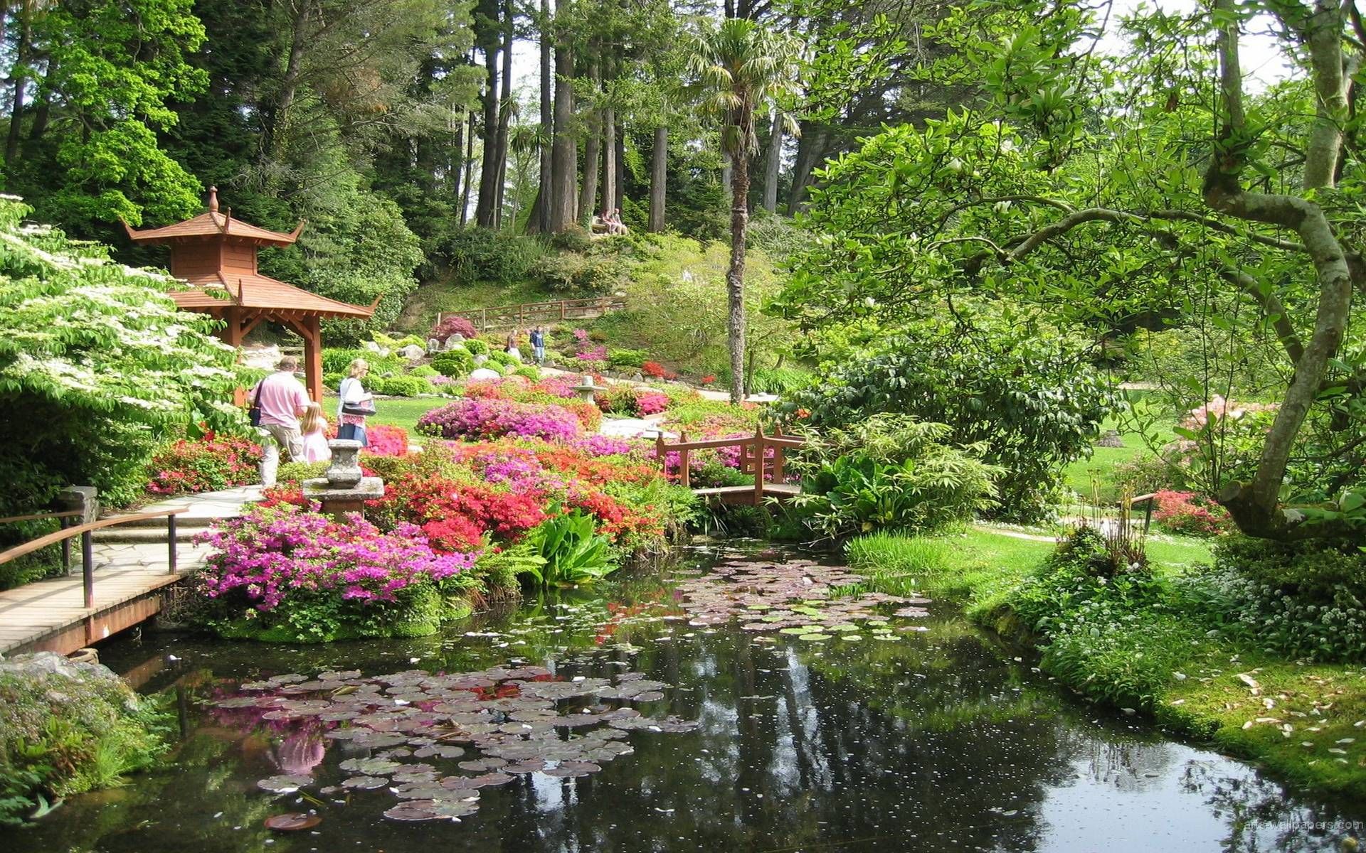 Japanese Garden Wallpaper. Japanese garden, Most beautiful gardens, Japanese garden plants