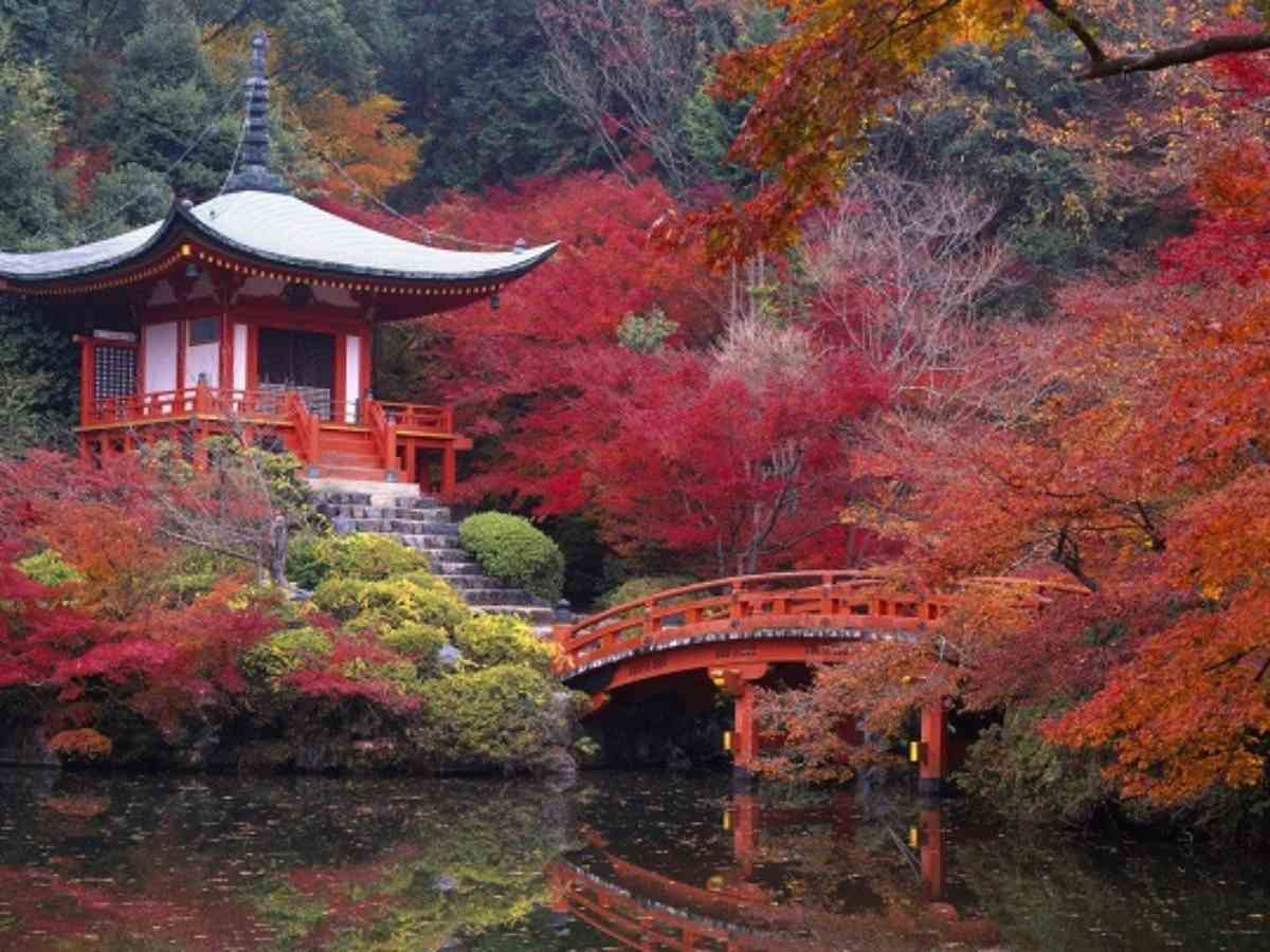 Japanese garden plants