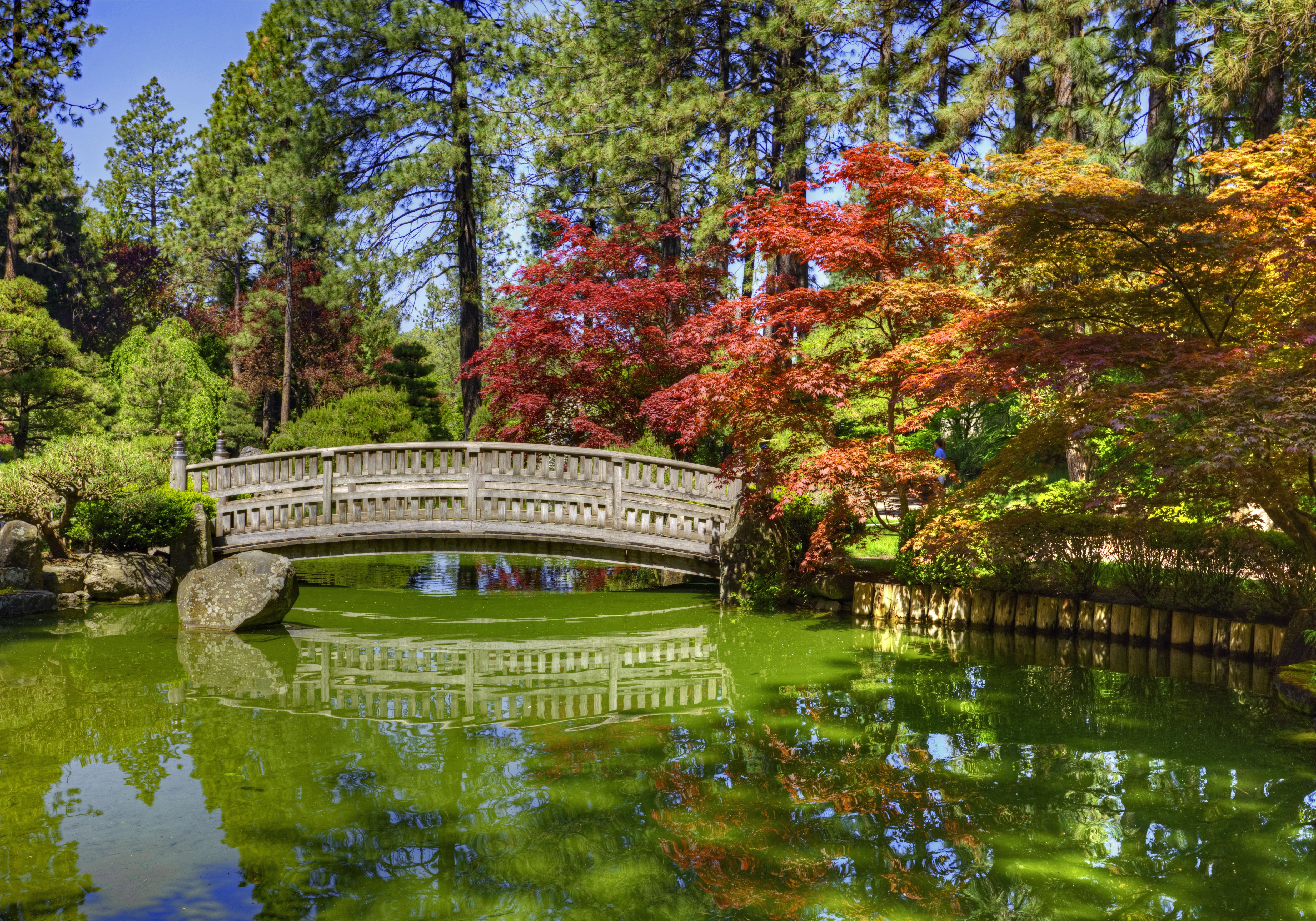 4K, 5K, Japanese Garden Spokane, USA, Parks, Pond, Bridges, Stones, Washington, HDR, Trees Gallery HD Wallpaper
