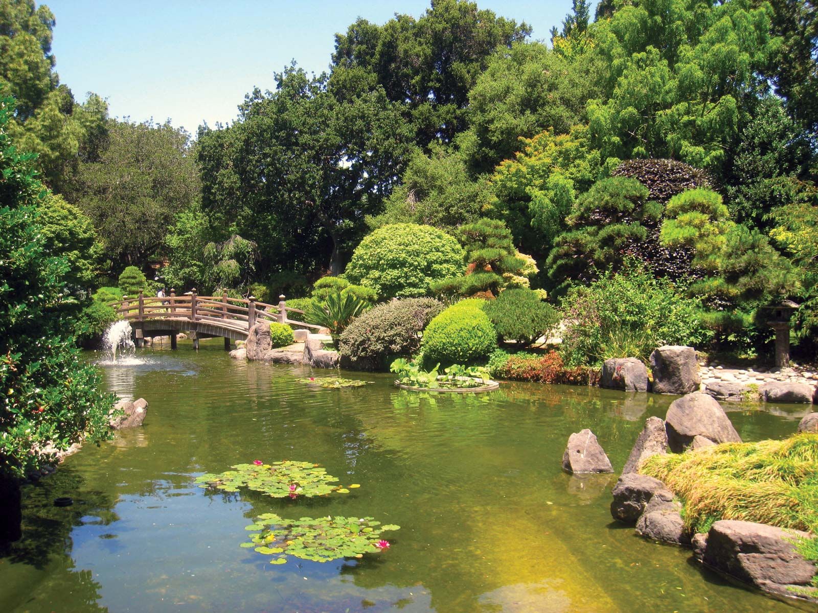 Japanese garden. Elements, Types, Examples, & Picture