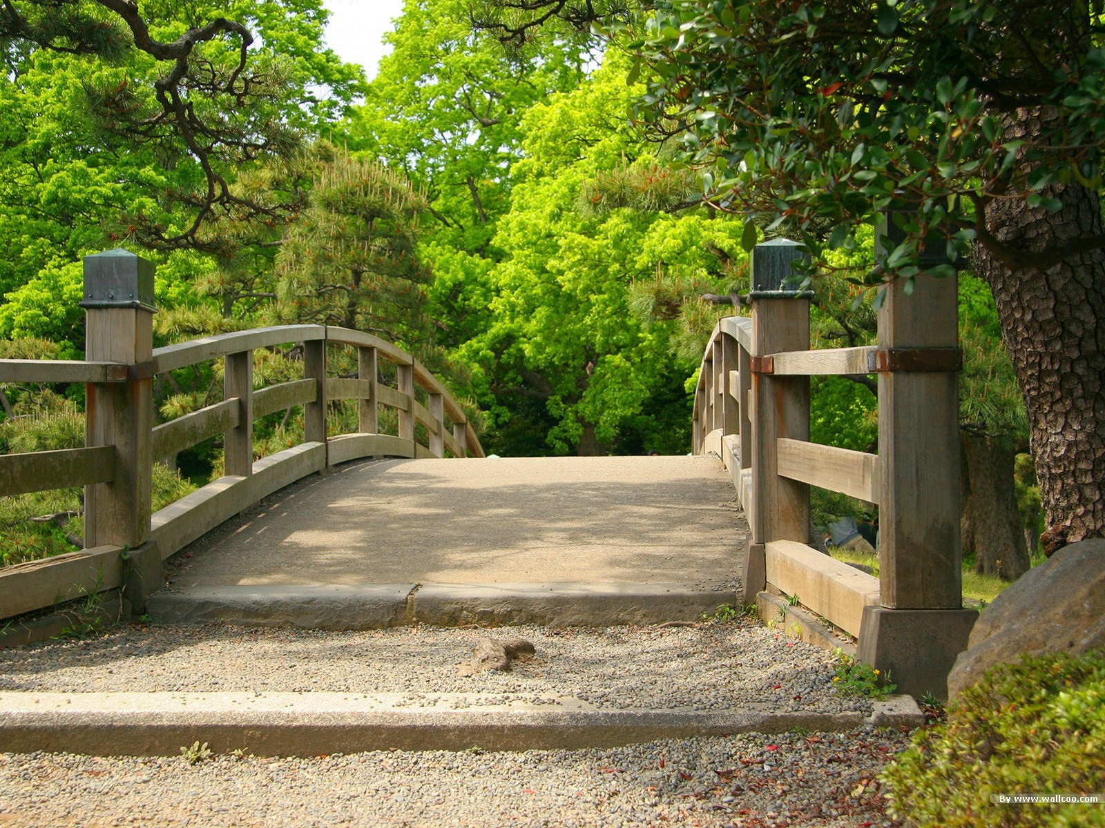 Park bridge- Japanese garden art landscape wallpaper