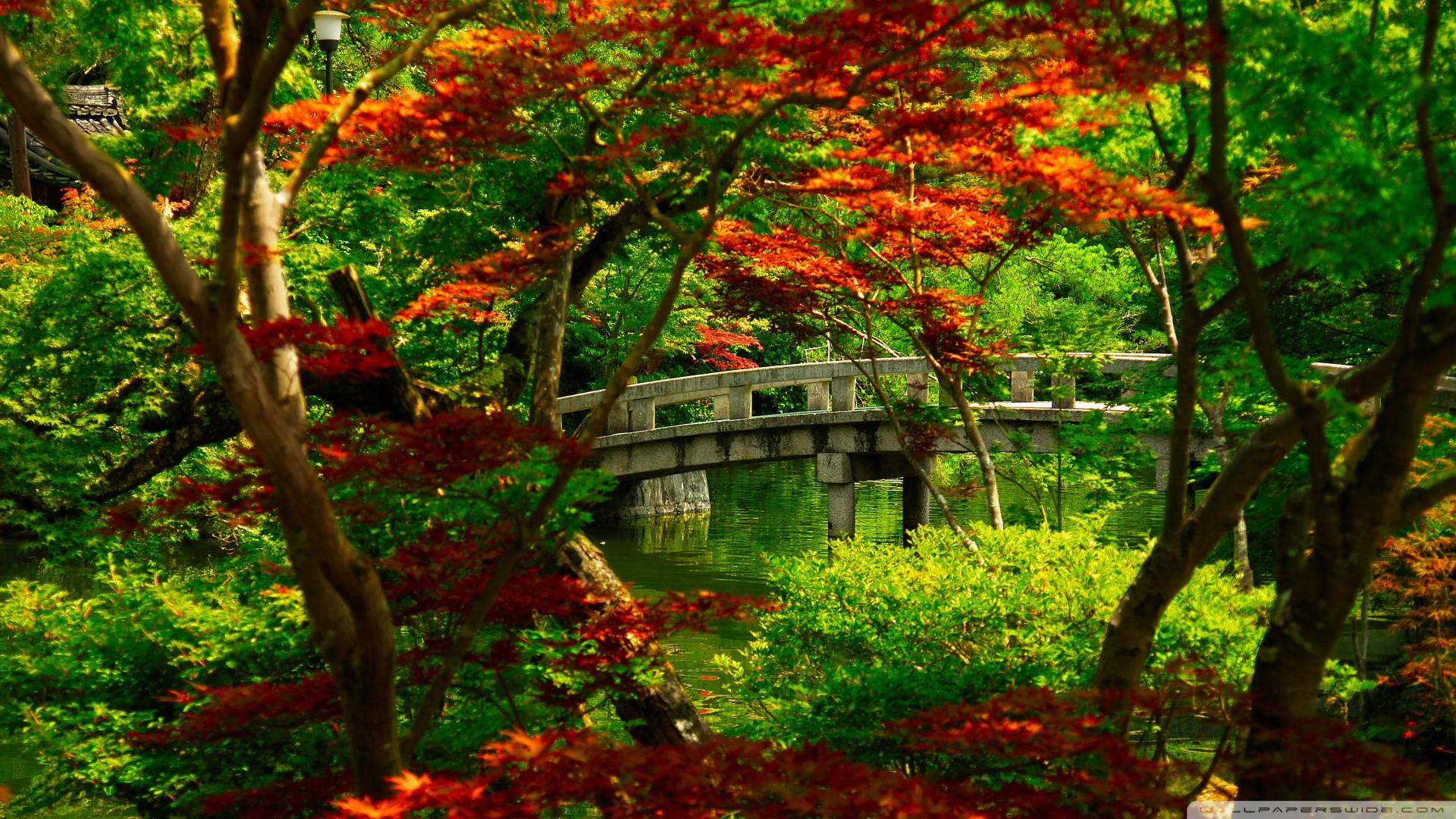 Download Japanese Nature Bridge Over Garden Wallpaper