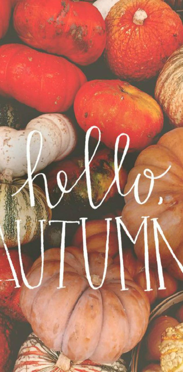 Hello autumn wallpaper