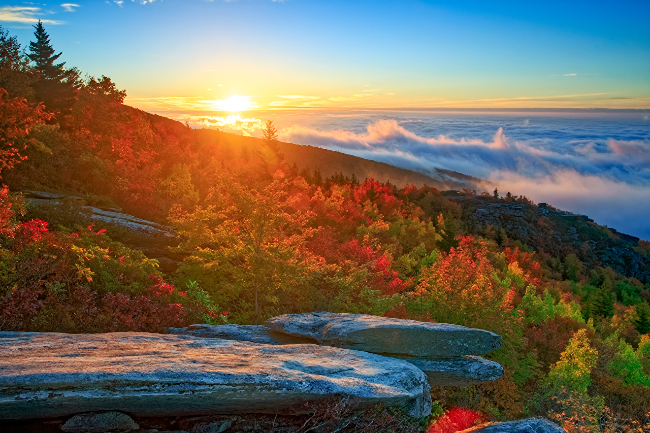 Desktop Wallpaper USA North Carolina Autumn Nature Sunrises and
