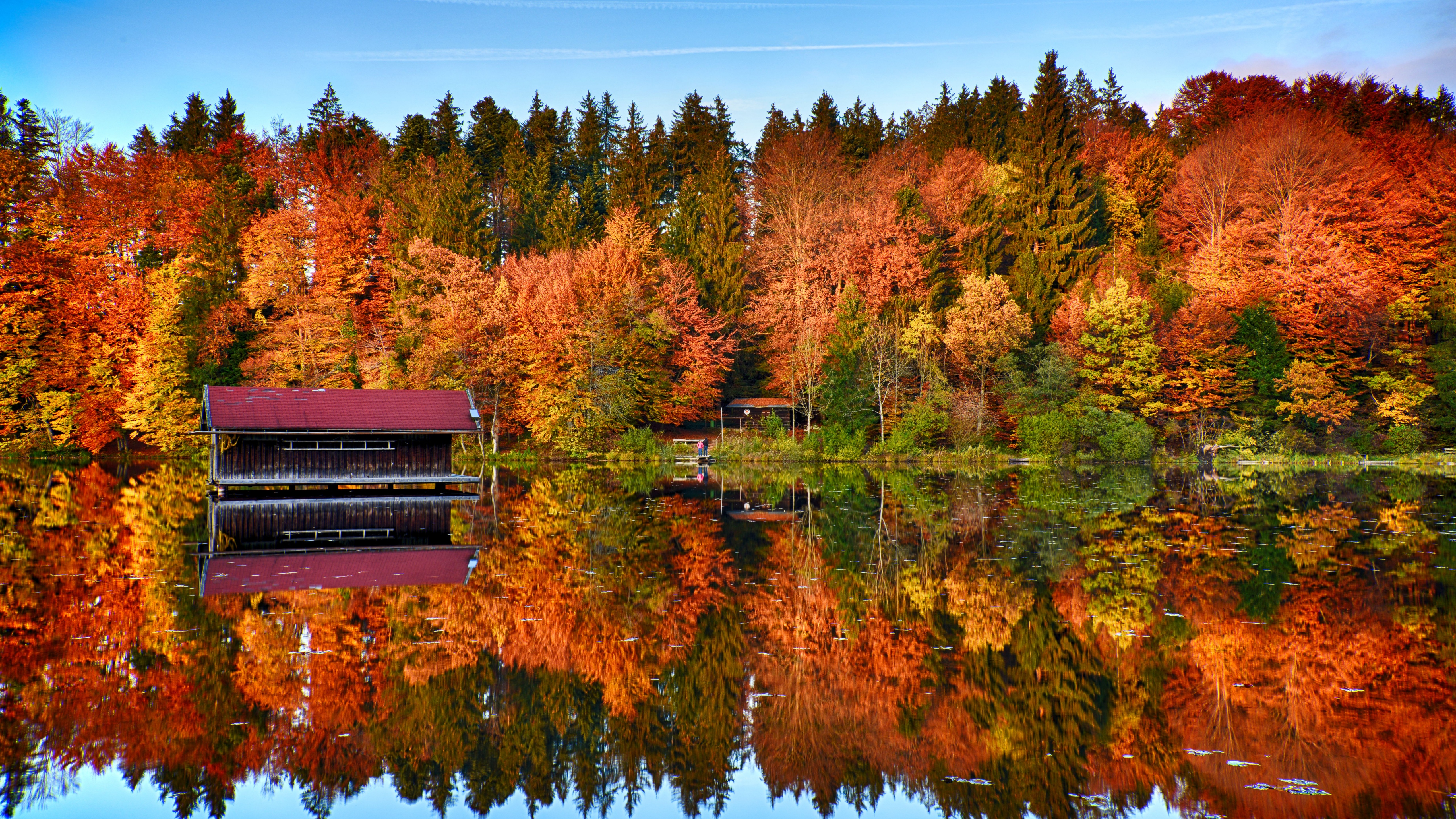 Autumn trees Wallpaper 4K, Forest, Mirror Lake, Reflection, Wooden House, Nature