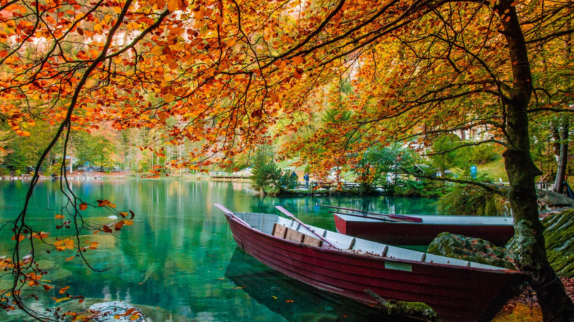 Autumn Lake Beautiful Turquoise Water Trees HD Wallpaper