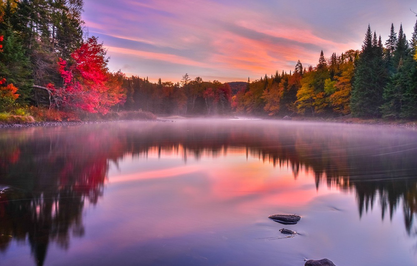 Wallpaper autumn, trees, fog, lake image for desktop, section пейзажи