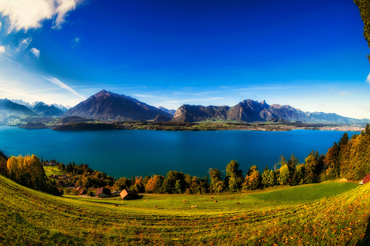 Wallpaper Switzerland Lake Thun Nature Autumn mountain Meadow