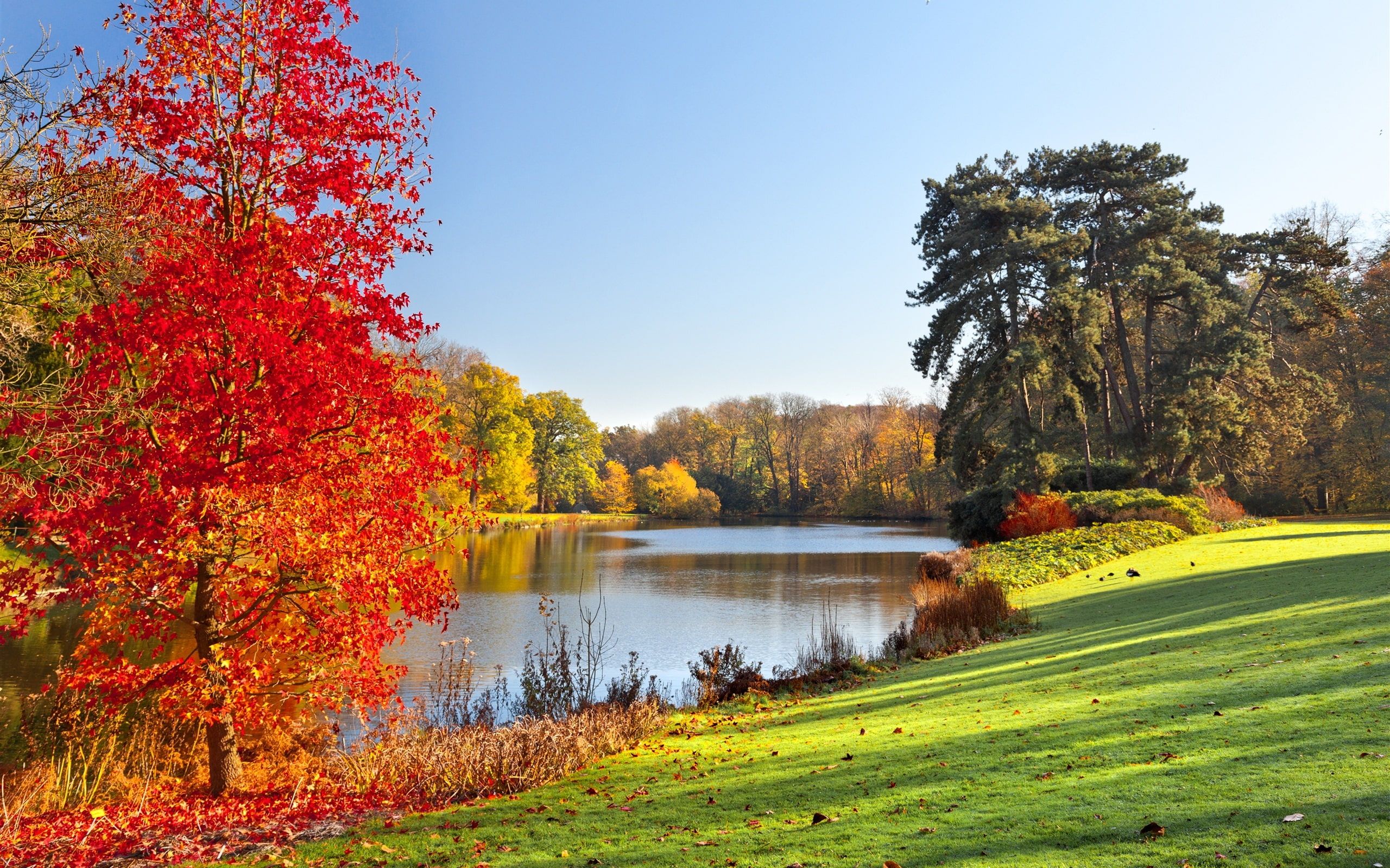 Autumn park, lake, trees, leaves, nature scenery #Autumn #Park #Lake #Trees #Leaves #Nature #Scenery K. Colorful landscape, Scenery wallpaper, Autumn landscape