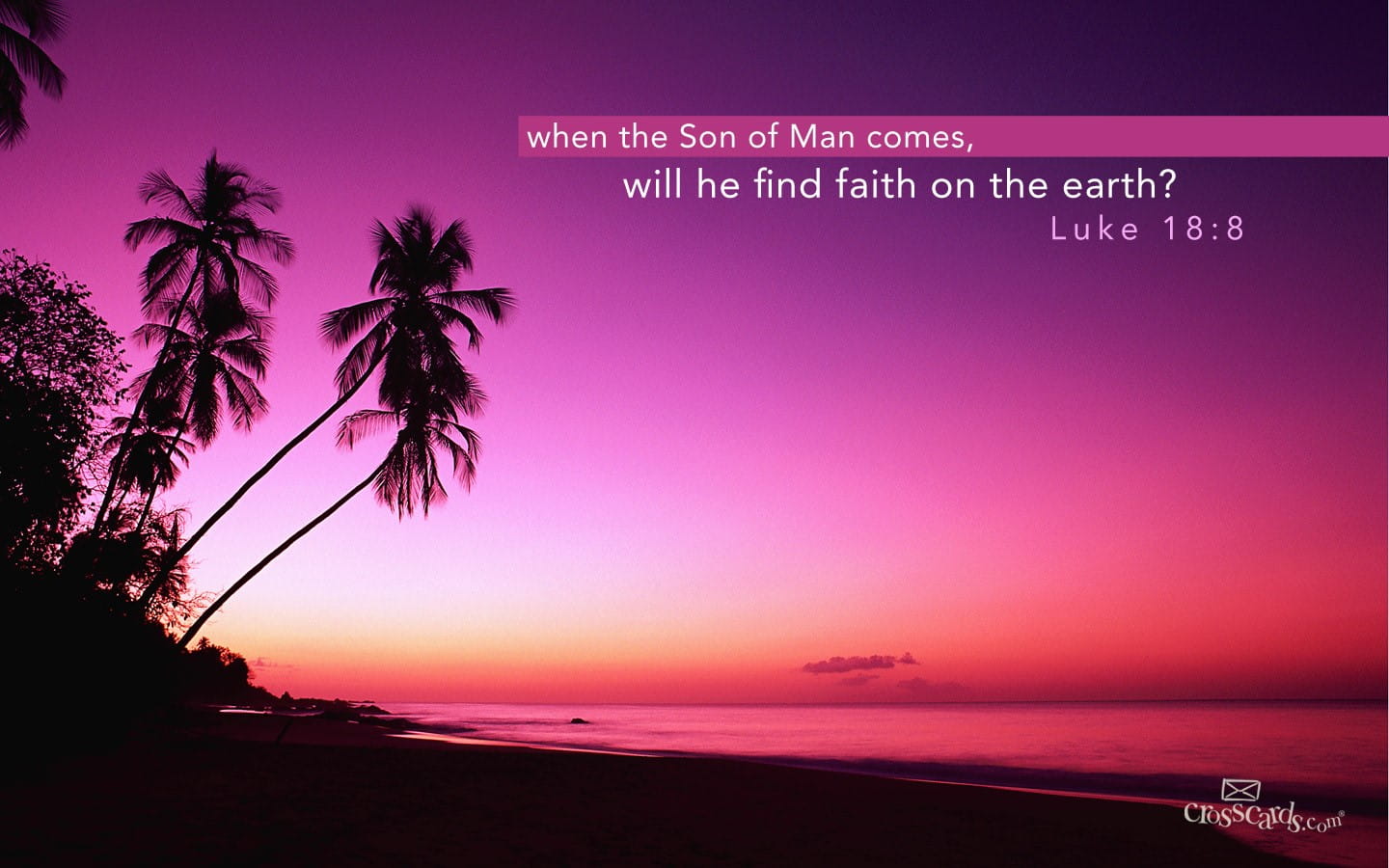 Bible Verses and Scripture Wallpaper