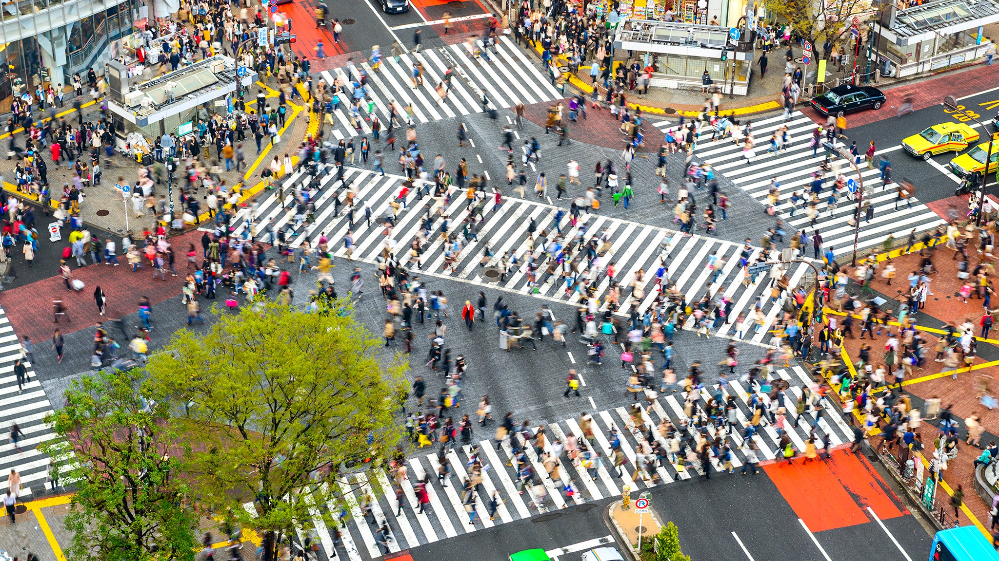 Shibuya Crossing Wallpapers Wallpaper Cave