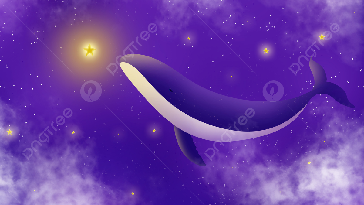 Whale Background Image, HD Picture and Wallpaper For Free Download