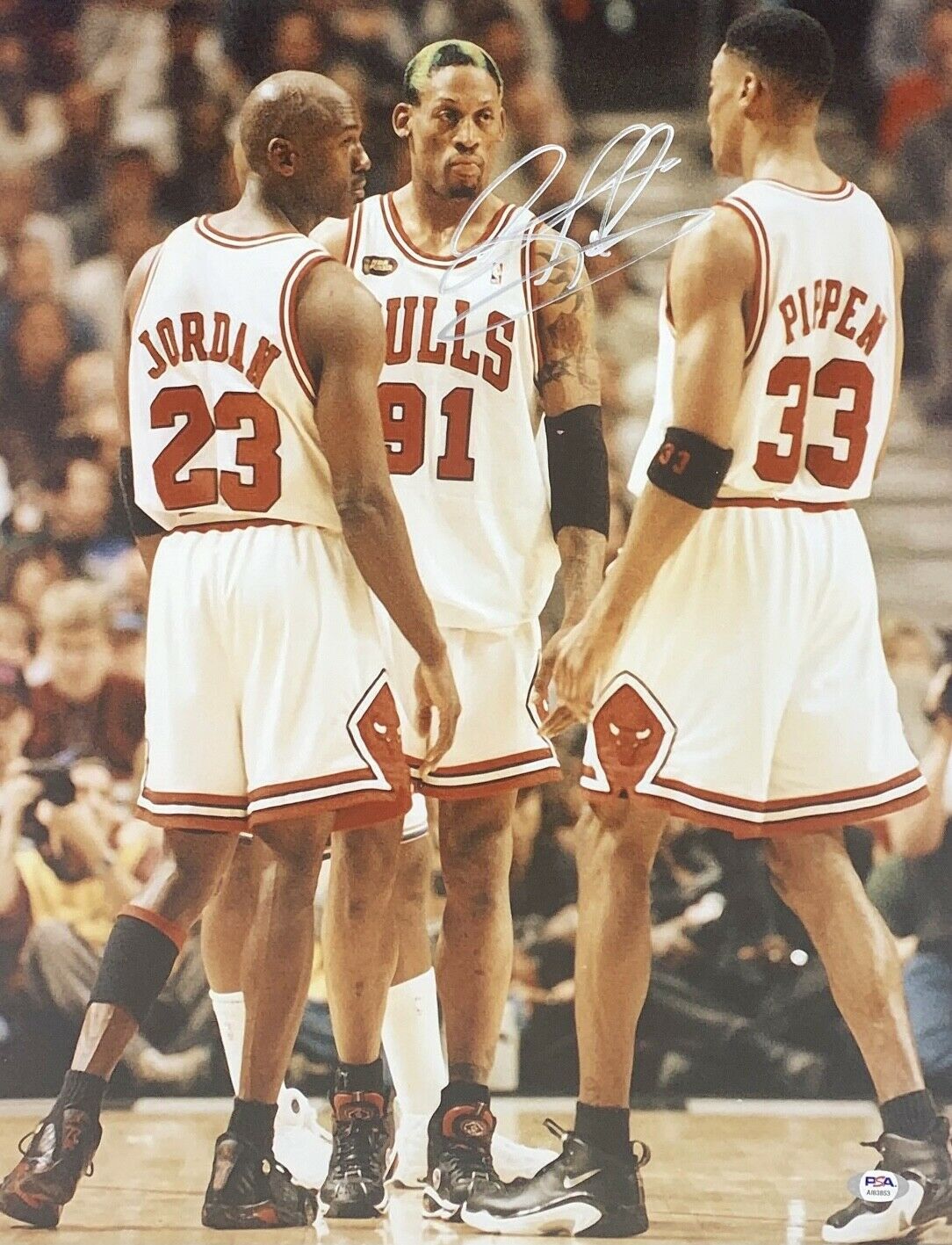Dennis Rodman Signed 16x20 Photo *Chicago Bulls* PSA AI83853 Authentics USA