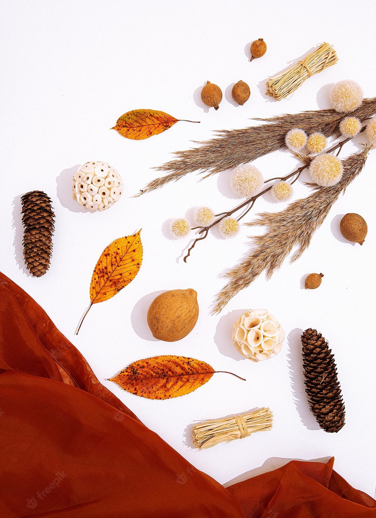 Autumn Minimalism Wallpapers - Wallpaper Cave