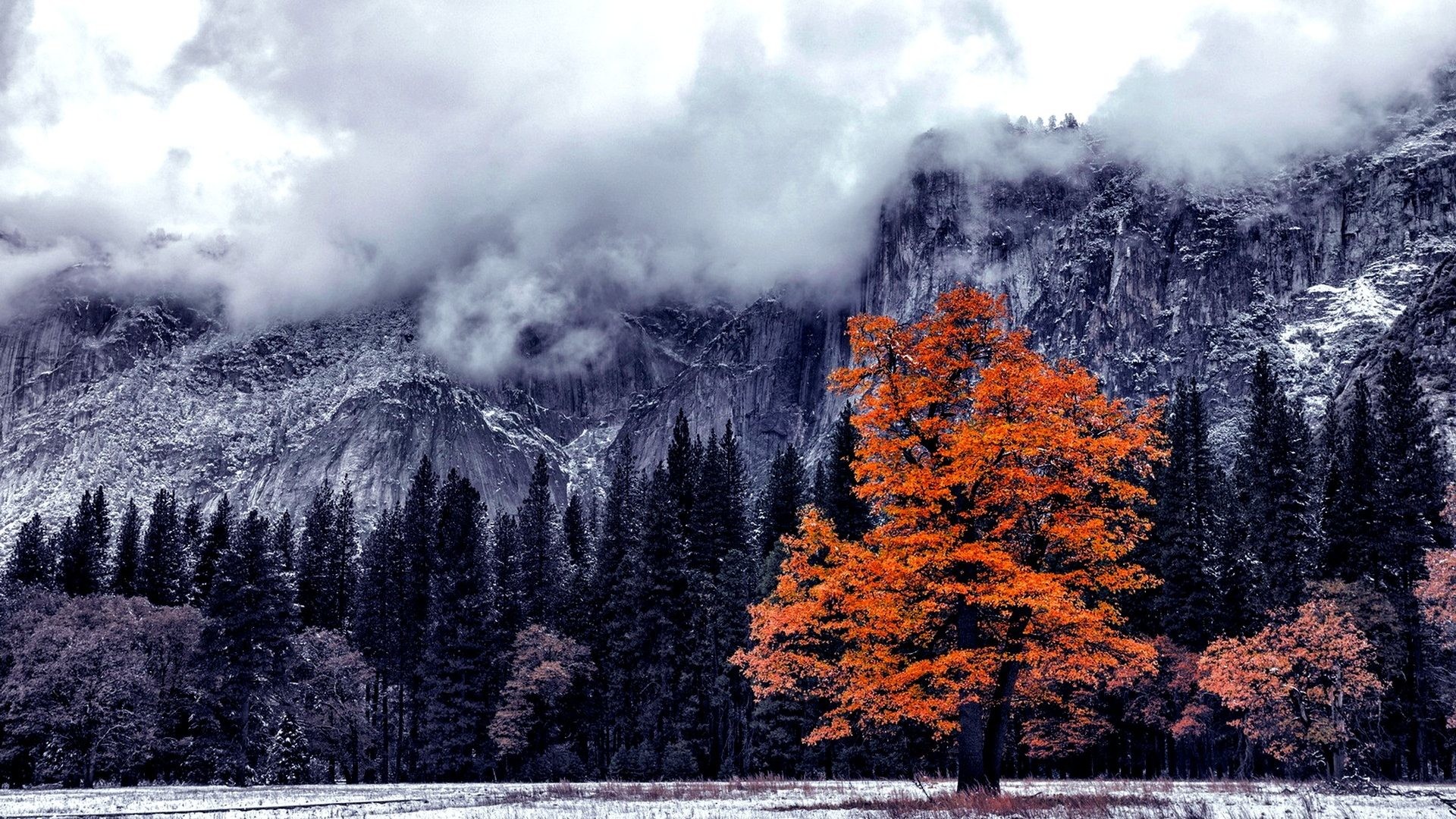 1080p Winter Wallpaper