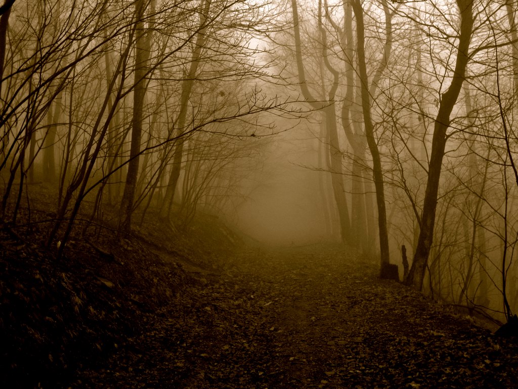 Spooky Walk Wallpapers Wallpaper Cave 8535