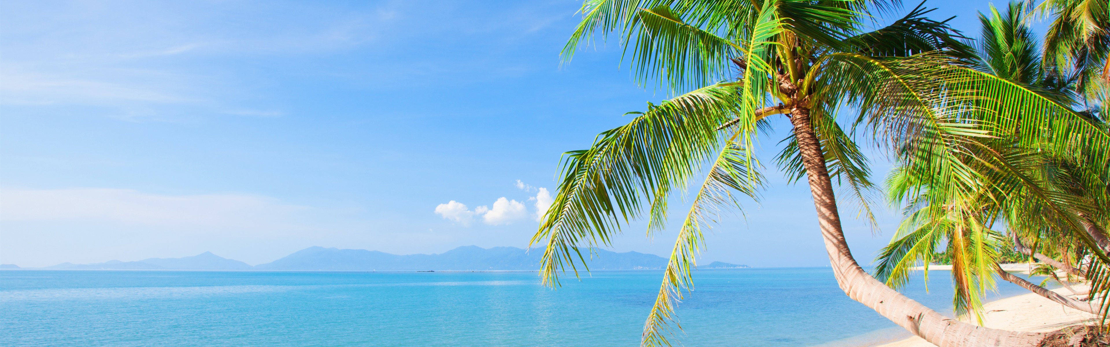 Wallpaper Beach, palm trees, sea, tropical, summer 3840x2160 UHD 4K Picture, Image