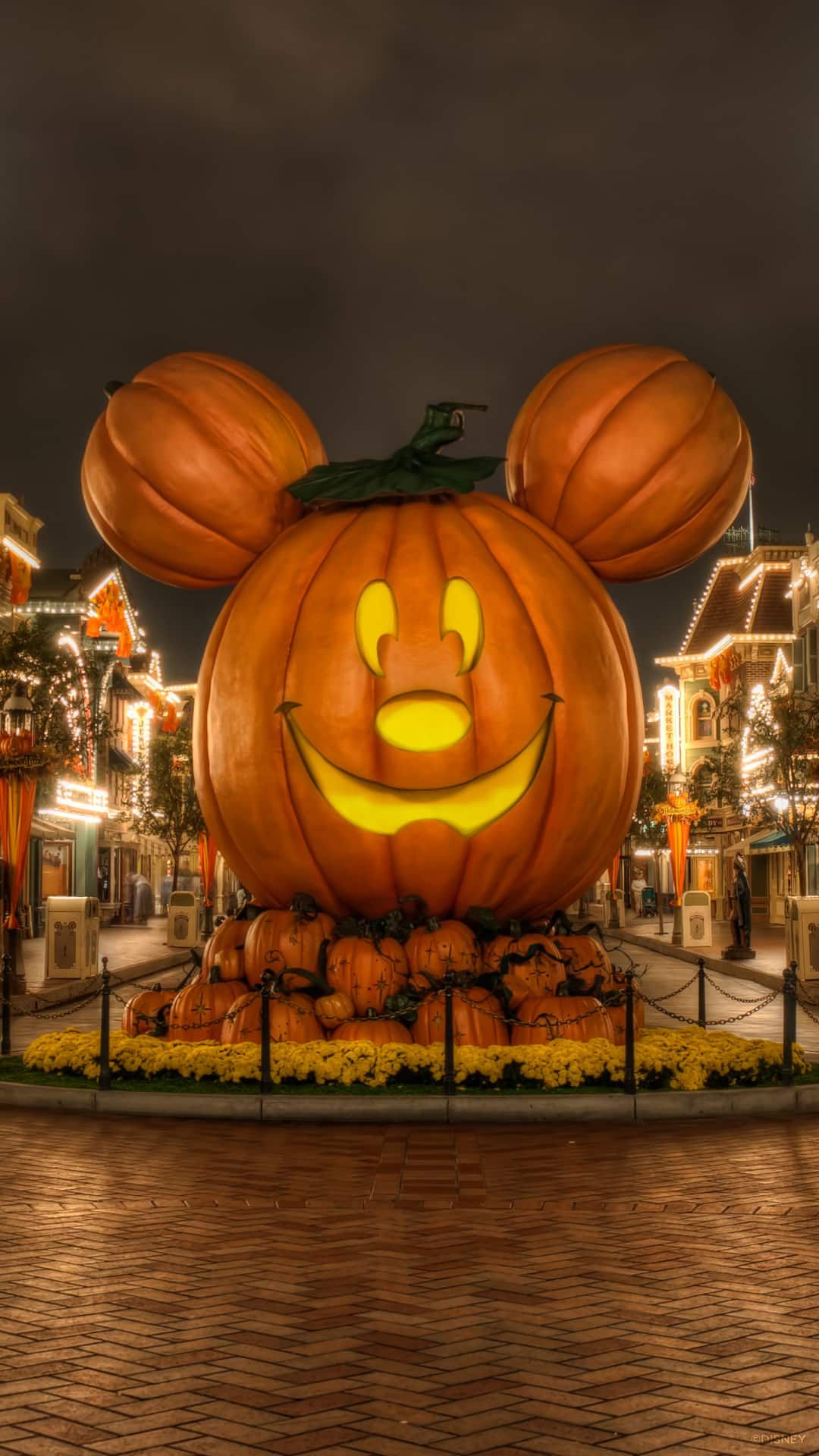 Disneyland Mickey Pumpkin Wallpaper