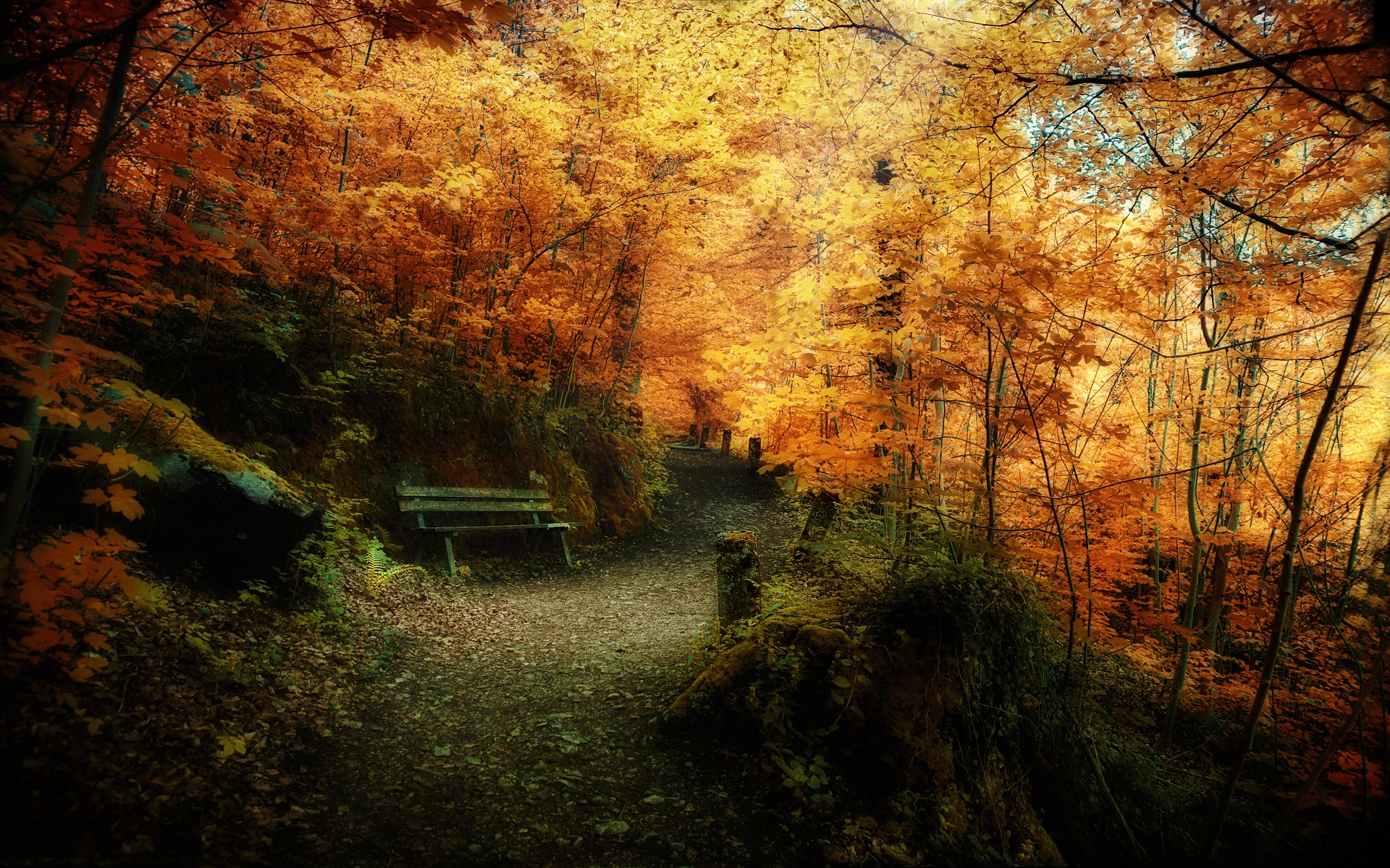 A Tranquil HD Wallpaper of a Pathway Bench