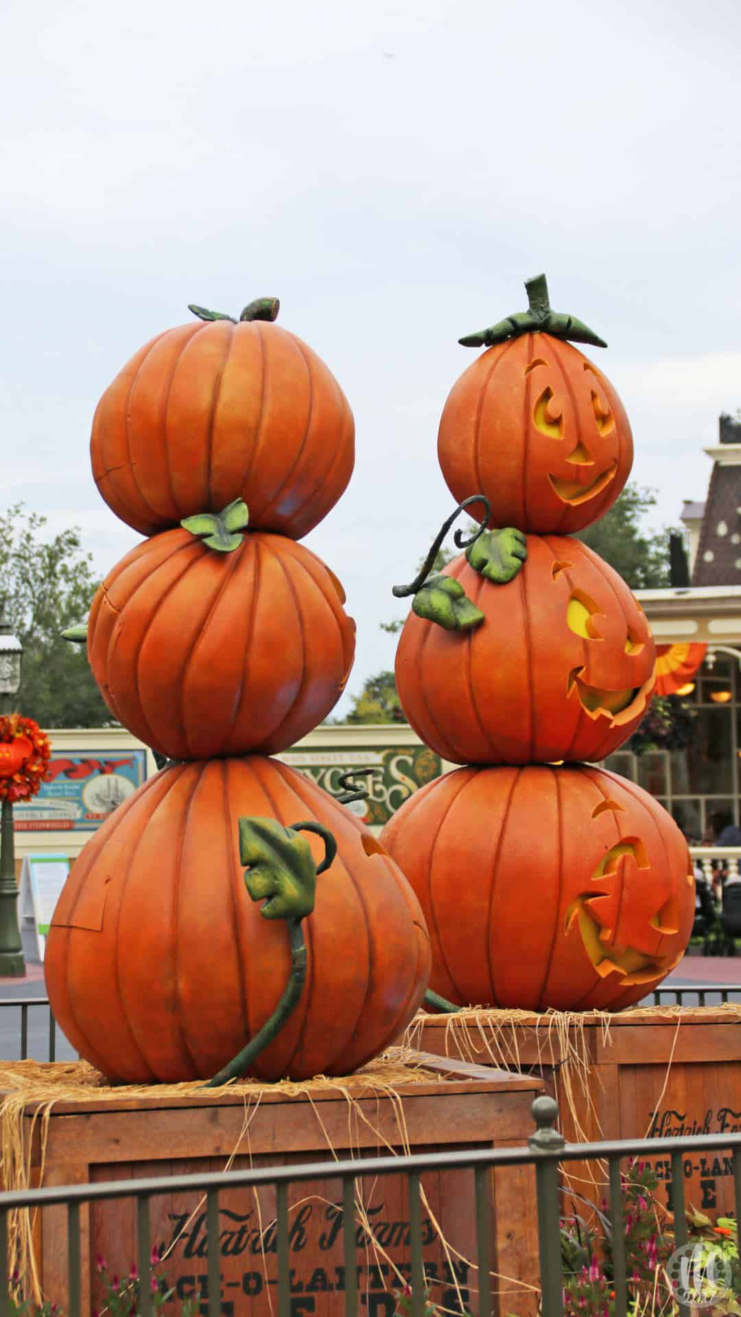 Disney Halloween iPhone Wallpaper from Magic Kingdom!