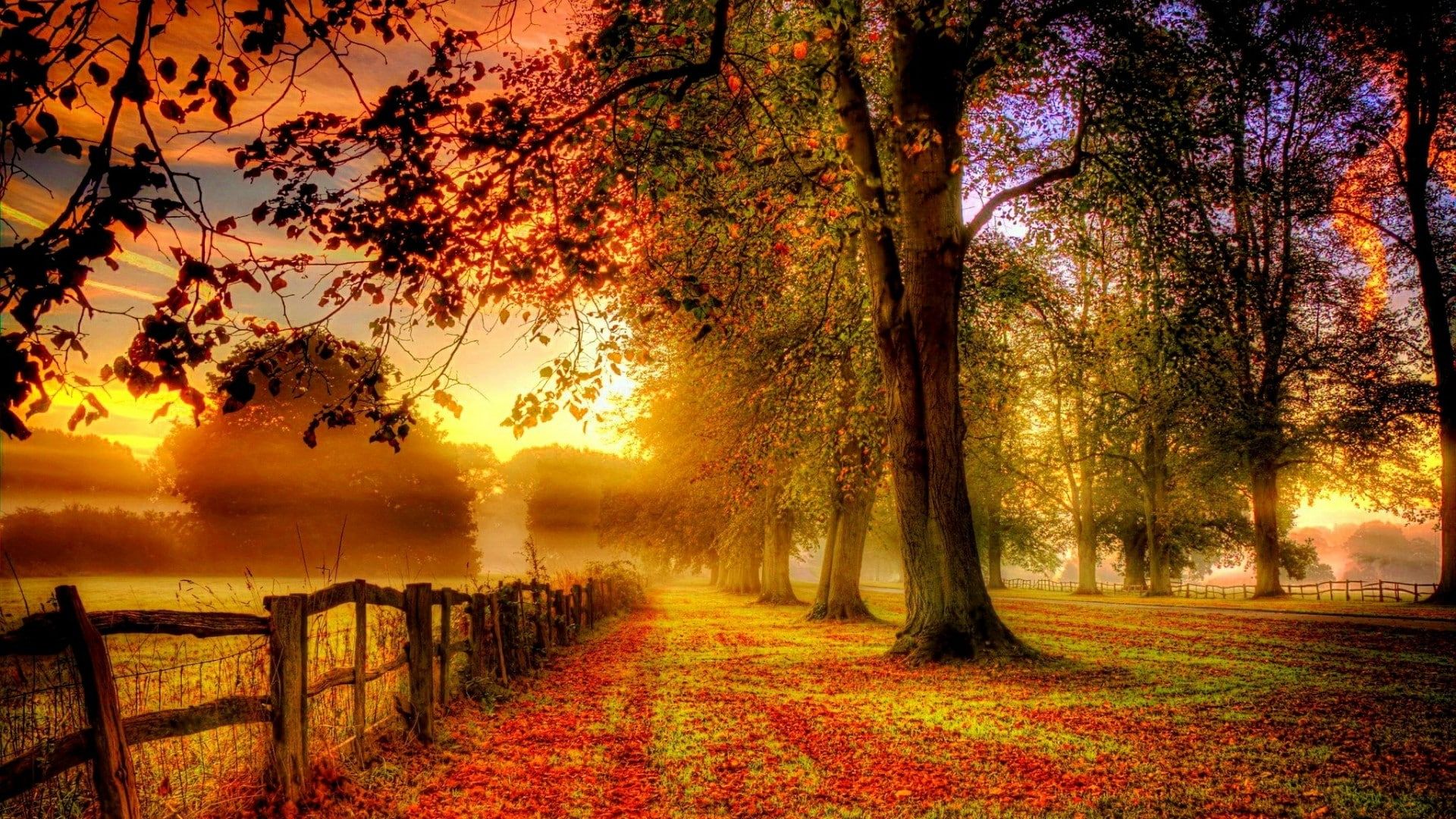 1920x1080 Cozy Autumn Wallpapers - Wallpaper Cave