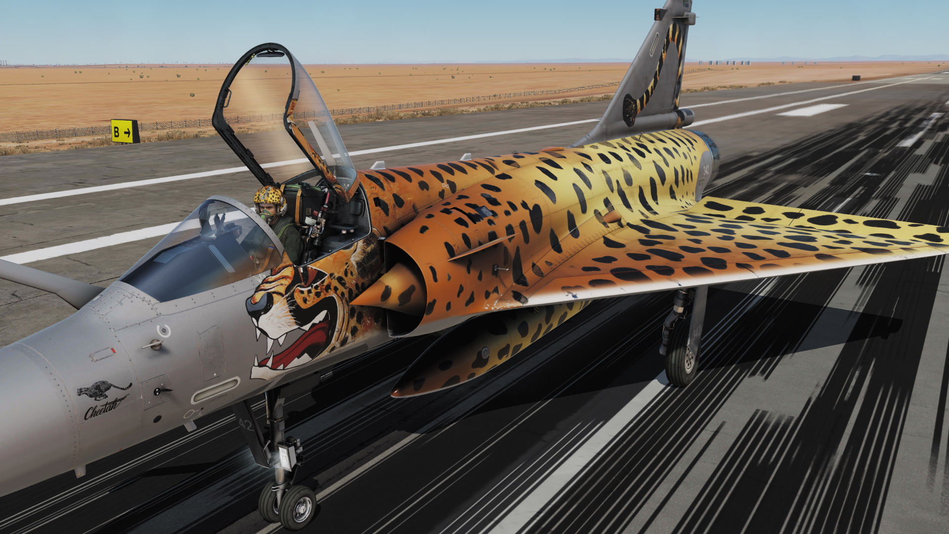 342 Spotty Cheetah C Mirage 2000C