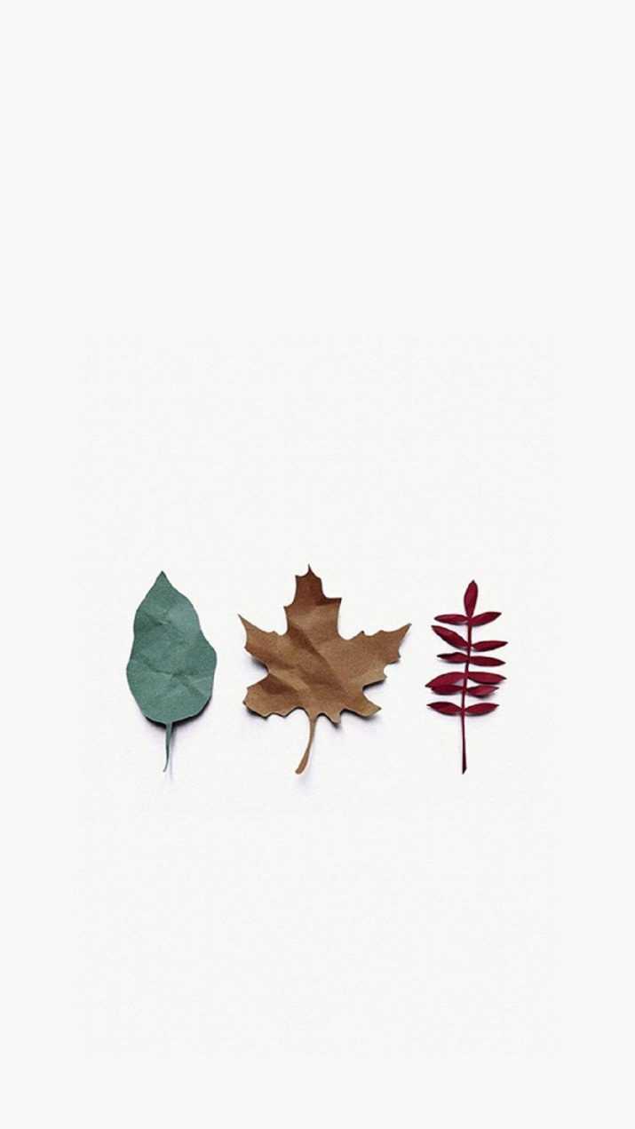 Autumn iphone wallpaper