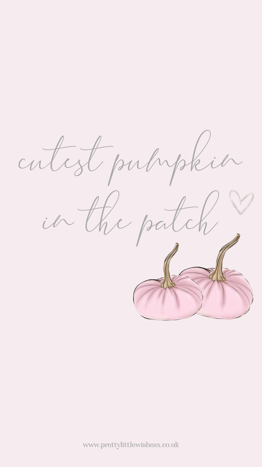 Pink pumpkin wallpaper Vectors  Illustrations for Free Download  Freepik