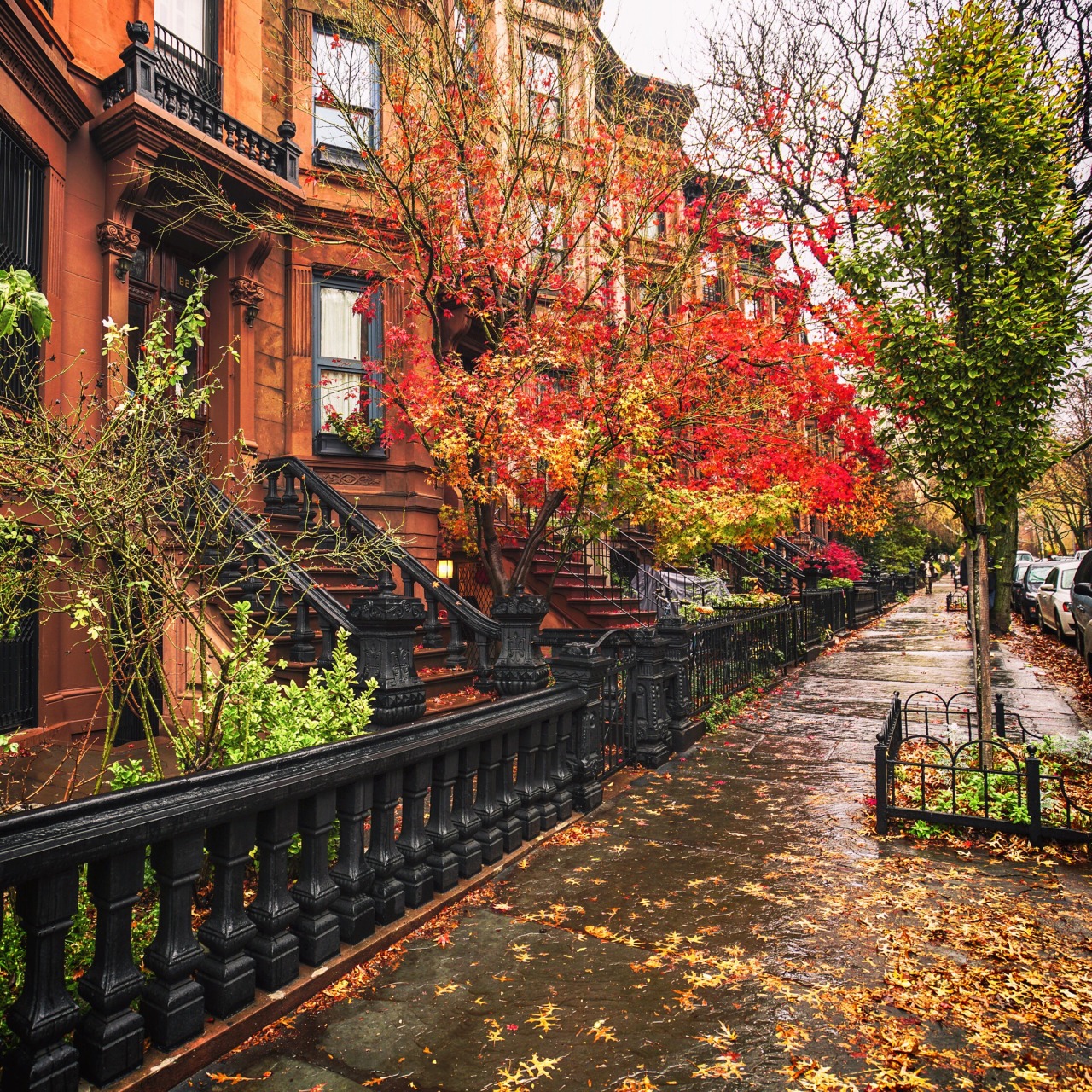 Autumn In New York Things Photo