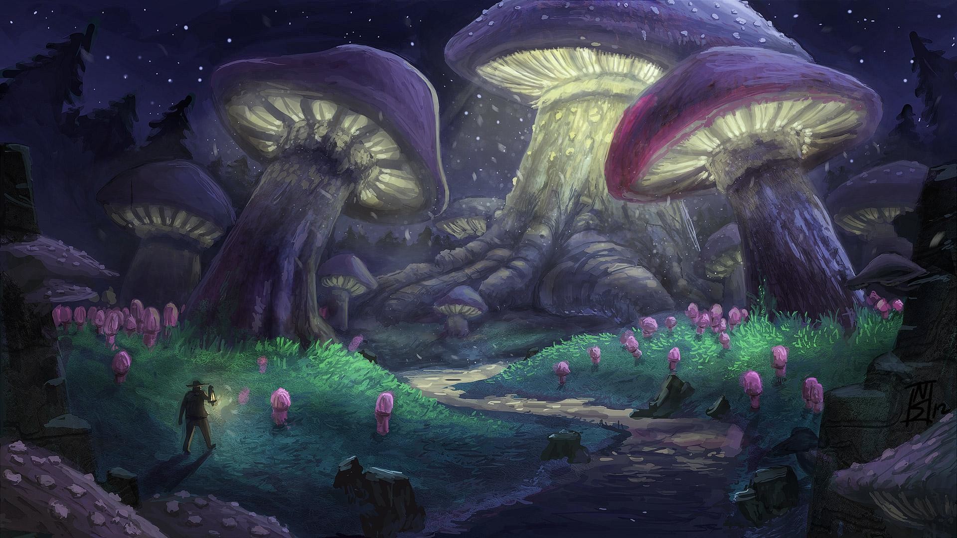 Shrooms Wallpaper