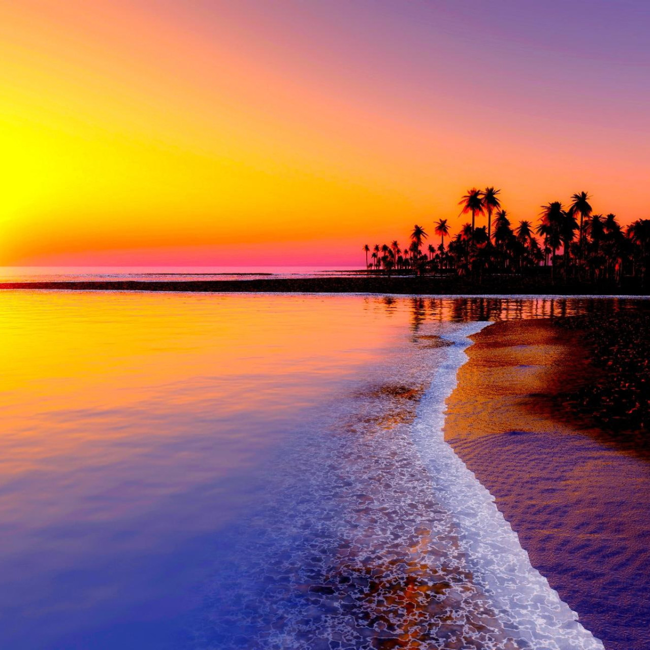 Beach, Tropics, Sea, Sand, Palm Trees, Sunset Wallpaper • Wallpaper For You