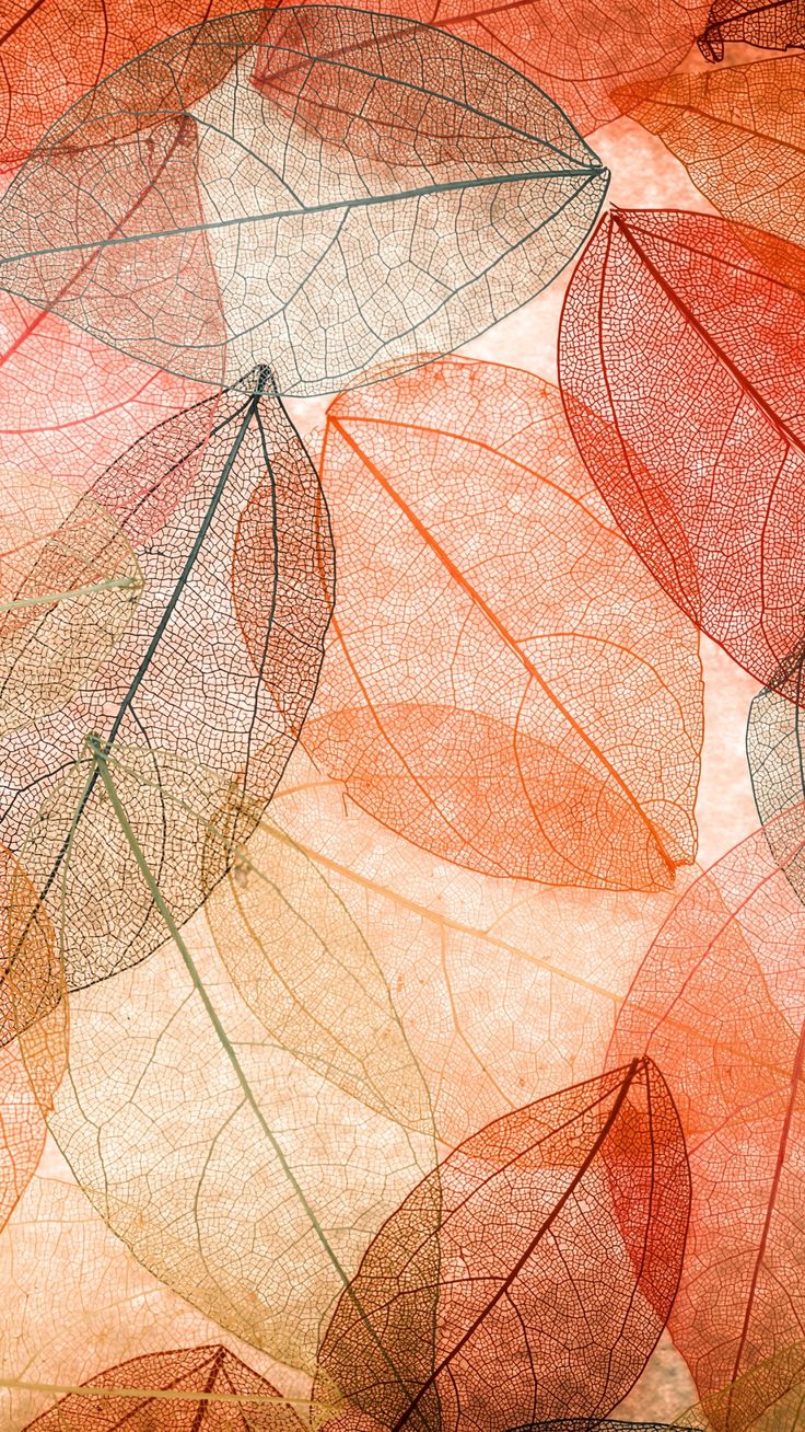 Autumn Leaves Transparent Abstract. Abstract wallpaper design, Abstract, Abstract wallpaper
