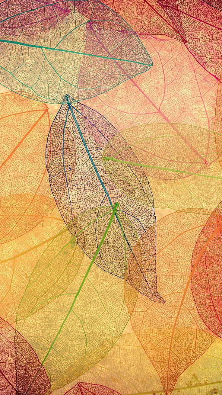 Rainbow Color Leaf Art Fall Nature Pattern #iPhone #wallpaper. Fall wallpaper, iPhone wallpaper fall, Artistic wallpaper