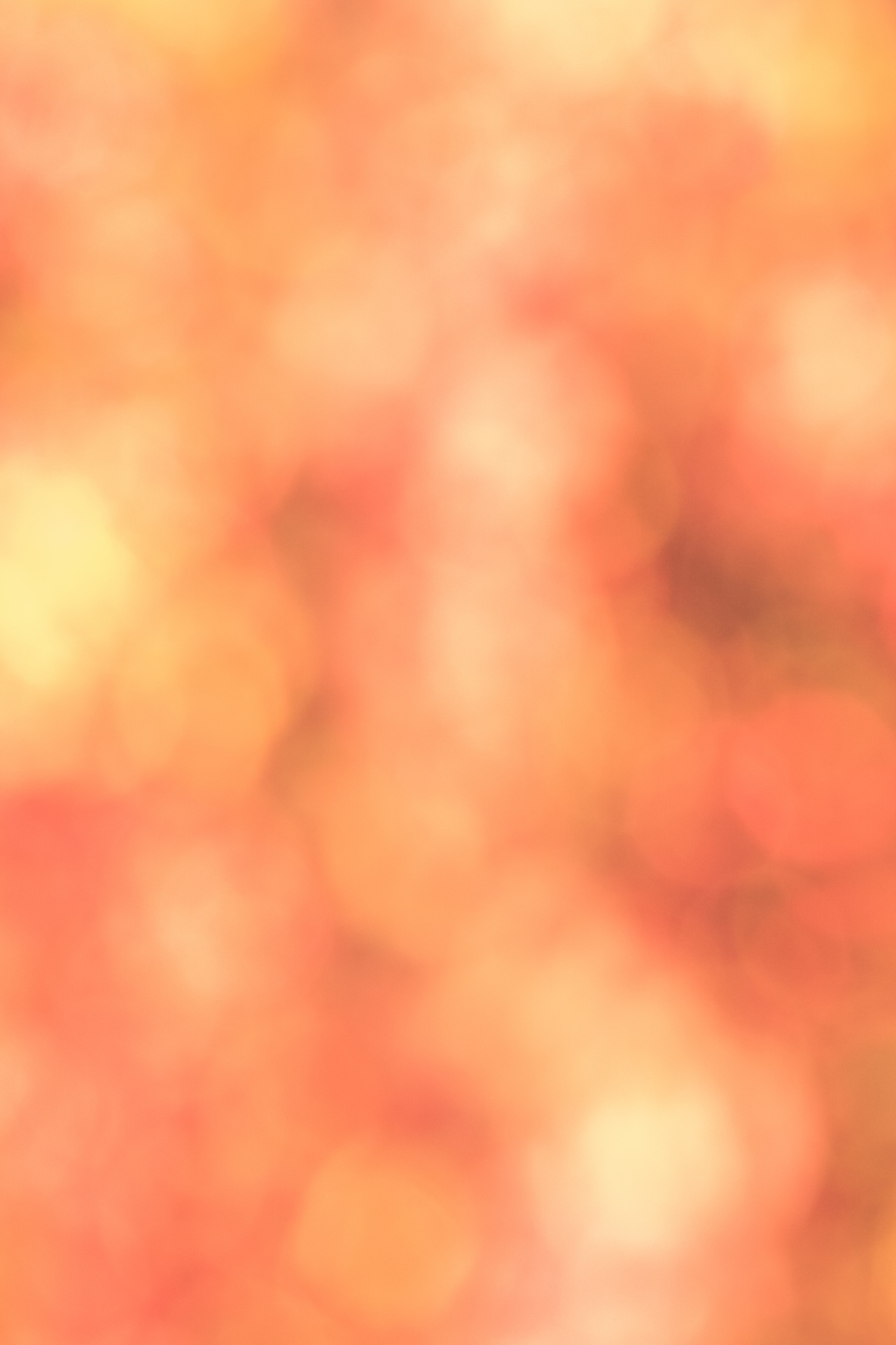 Download free photo of Abstract, autumn, backdrop, background, blur