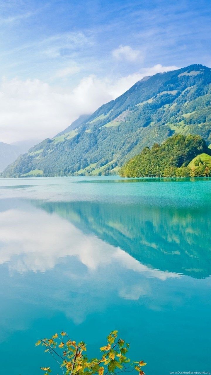 4k Nature Phone Wallpaper